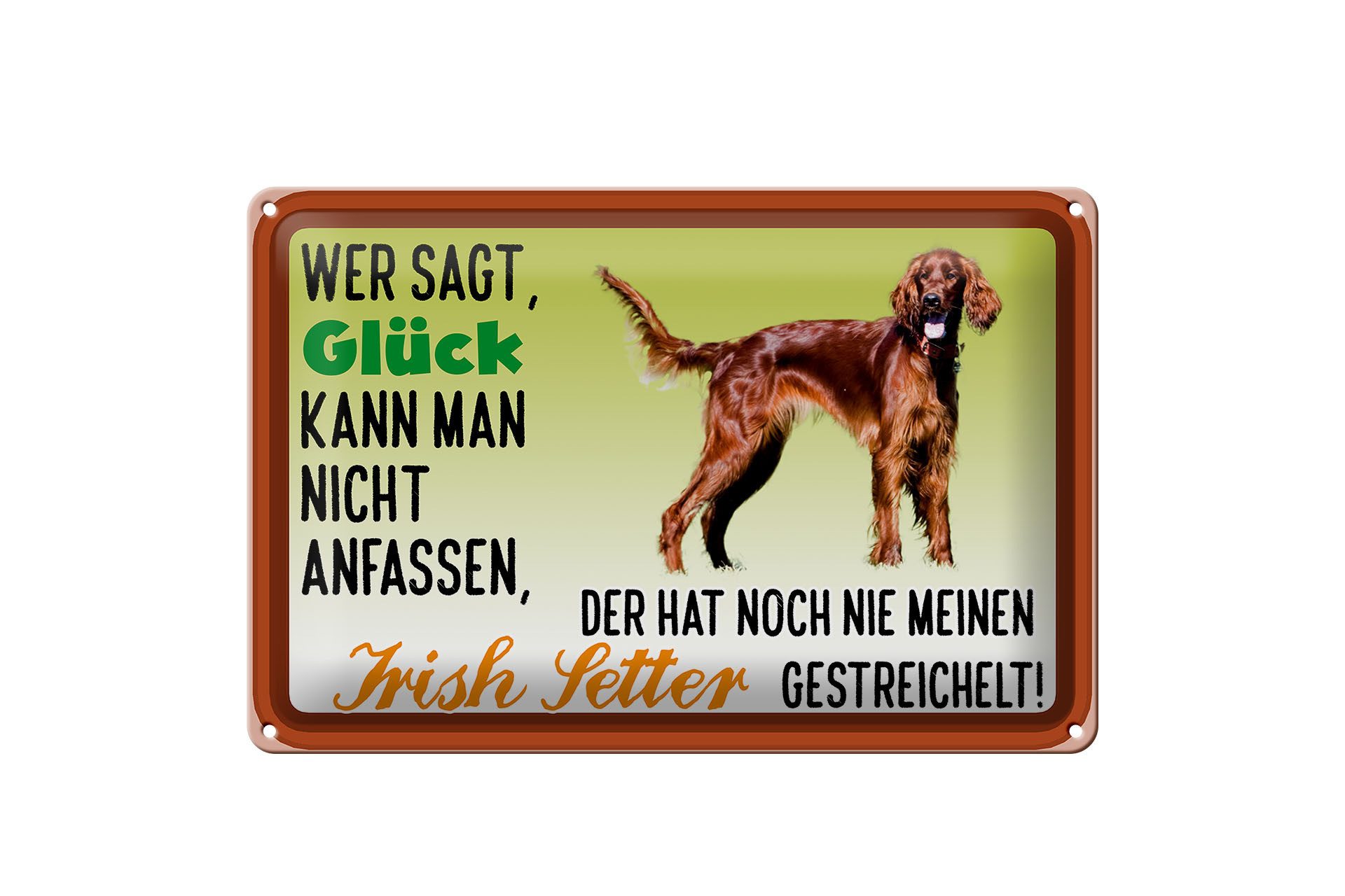 Femer GmbH Metallschild Spruch 30x20cm Glück Irish Setter Hund, (1 St), gewölbte Oberfläche, abgerundete Ecken, umgeschlagene Kanten