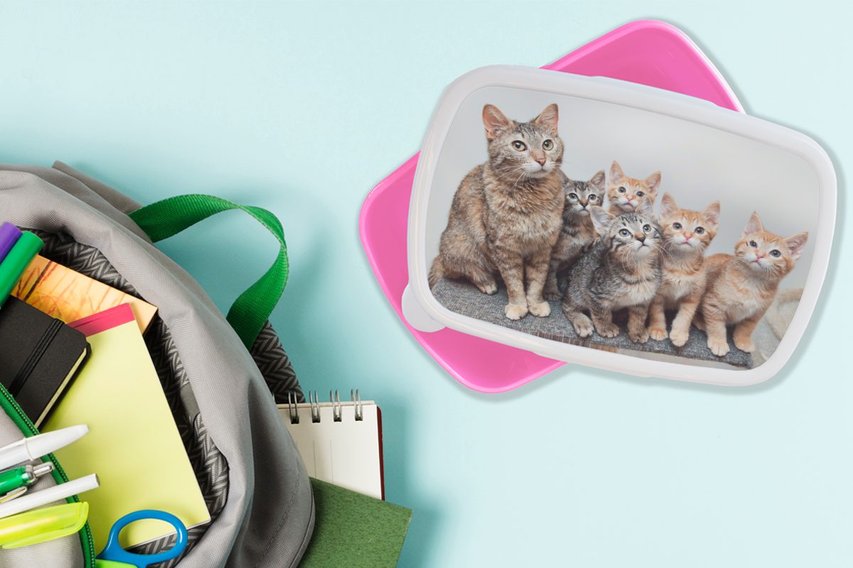 Katze Kinder, für Erwachsene, - Kunststoff, Mädchen, Lunchbox Kunststoff rosa - Brotbox (2-tlg), Snackbox, Kätzchen Brotdose MuchoWow Fell,