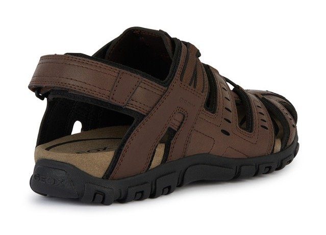 Geox UOMO SANDAL STRADA C Sandale, günstig online kaufen