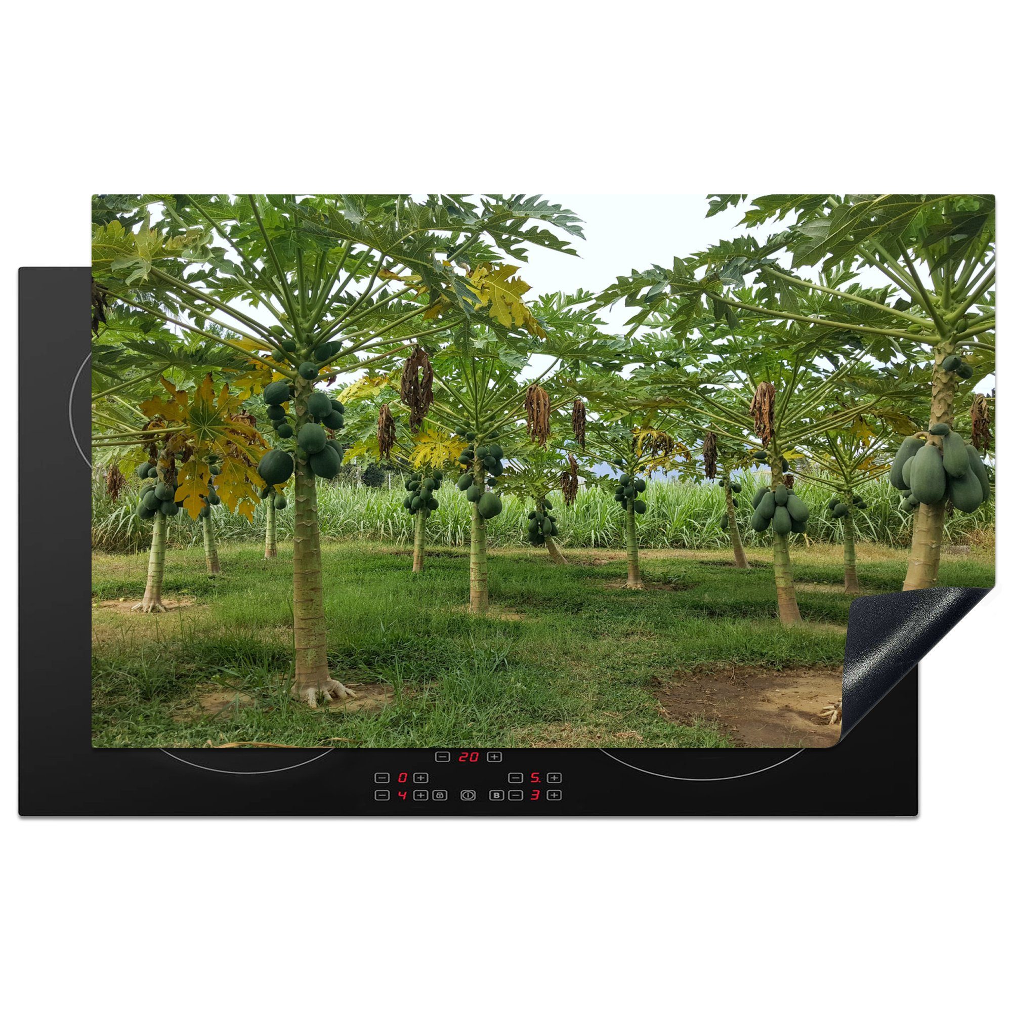 MuchoWow Herdblende-/Abdeckplatte Reifende Papayas an den Bäumen auf einer Plantage, Vinyl, (1 tlg), 83x51 cm, Ceranfeldabdeckung, Arbeitsplatte für küche