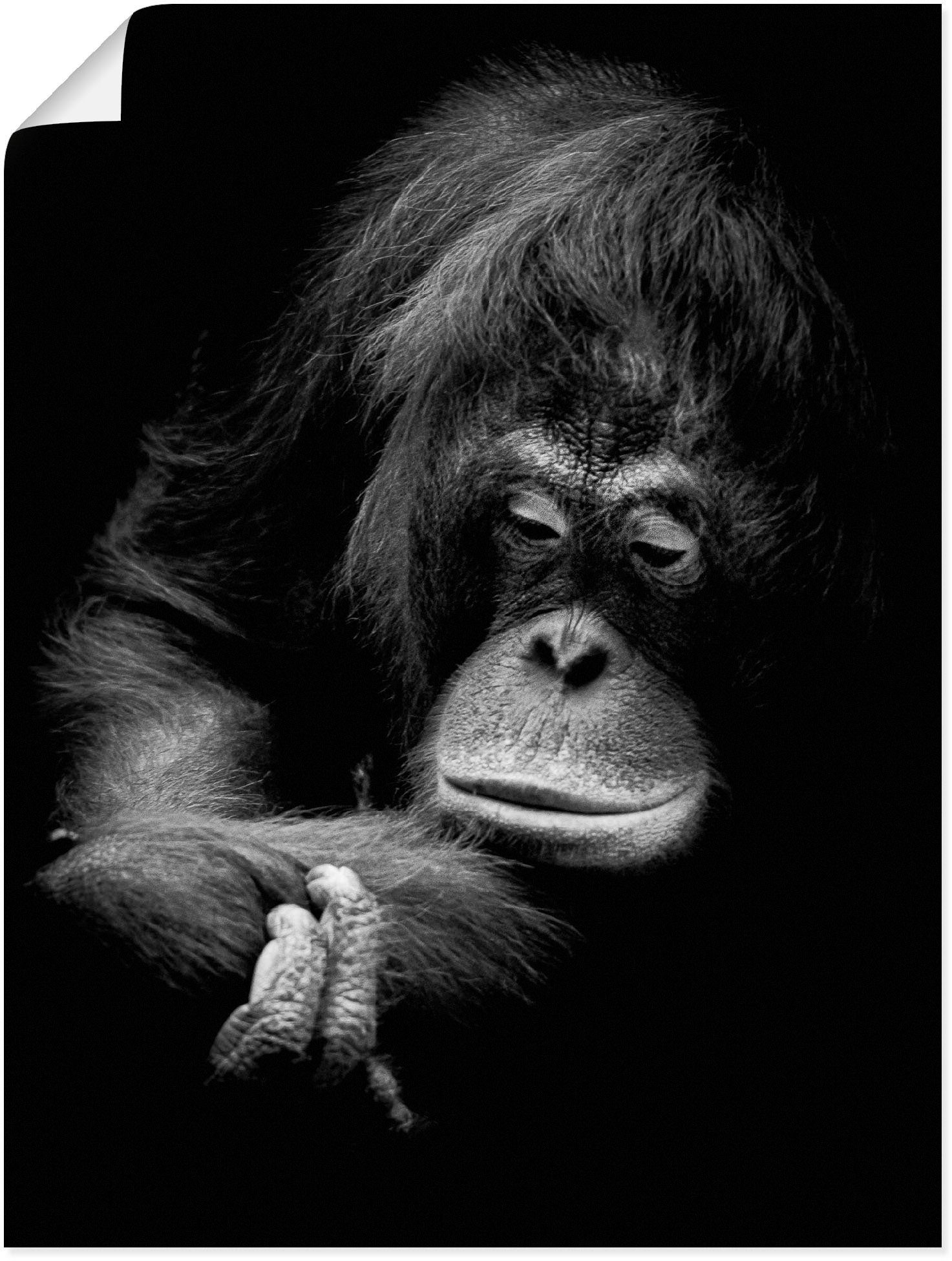 Artland Wandbild Der nachdenkliche Orang (1 oder Affenbilder Poster Leinwandbild, Größen versch. Alubild, Wandaufkleber in St), als Utan