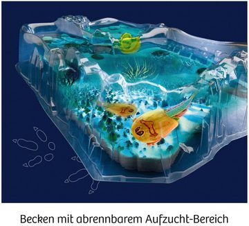 Kosmos Experimentierkasten Fun Science Triops züchten, Made in Germany