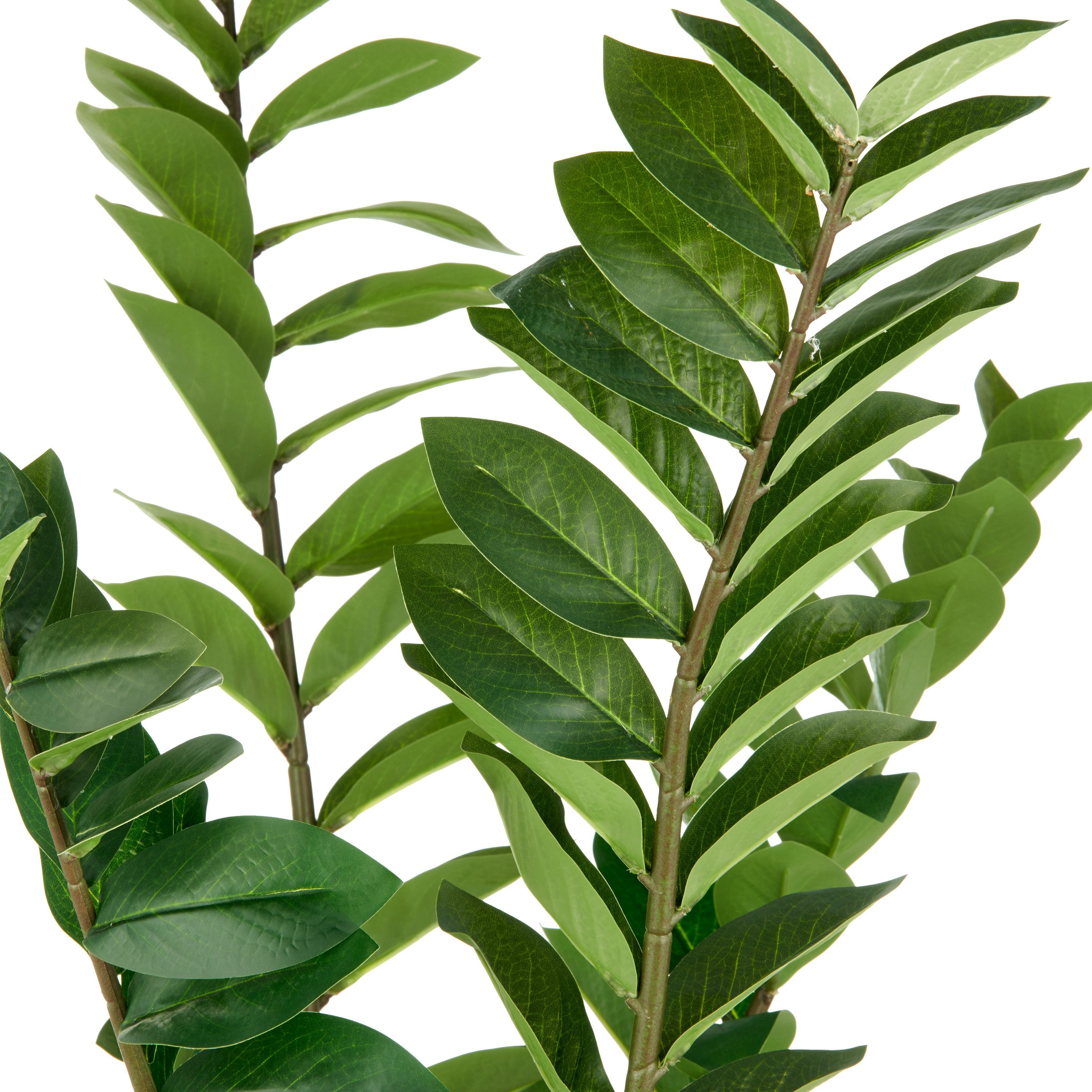 Kunstpflanze Zamifolia, Creativ green, Höhe 130 günstig online kaufen