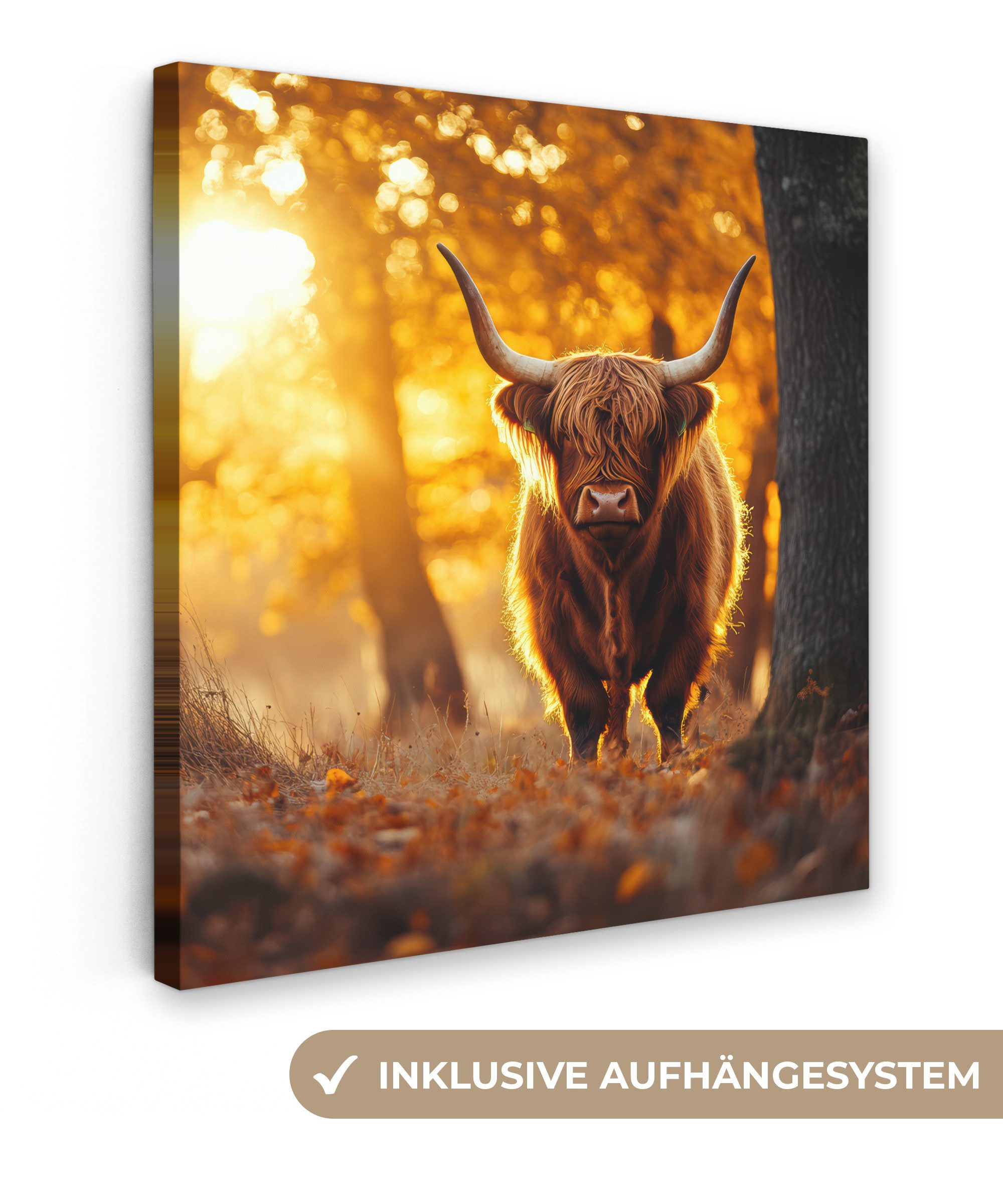 OneMillionCanvasses® Leinwandbild Schottischer Hochländer - Wald günstig online kaufen