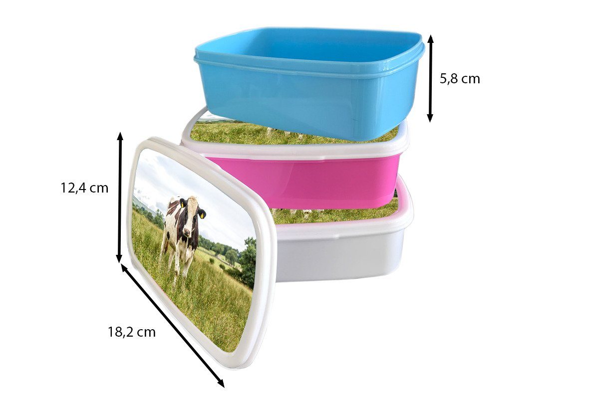 Brotdose Kunststoff Brotbox Kuh Lunchbox Kunststoff, für Erwachsene, rosa Mädchen, Kinder, MuchoWow Snackbox, (2-tlg), - Gras Landschaft, -
