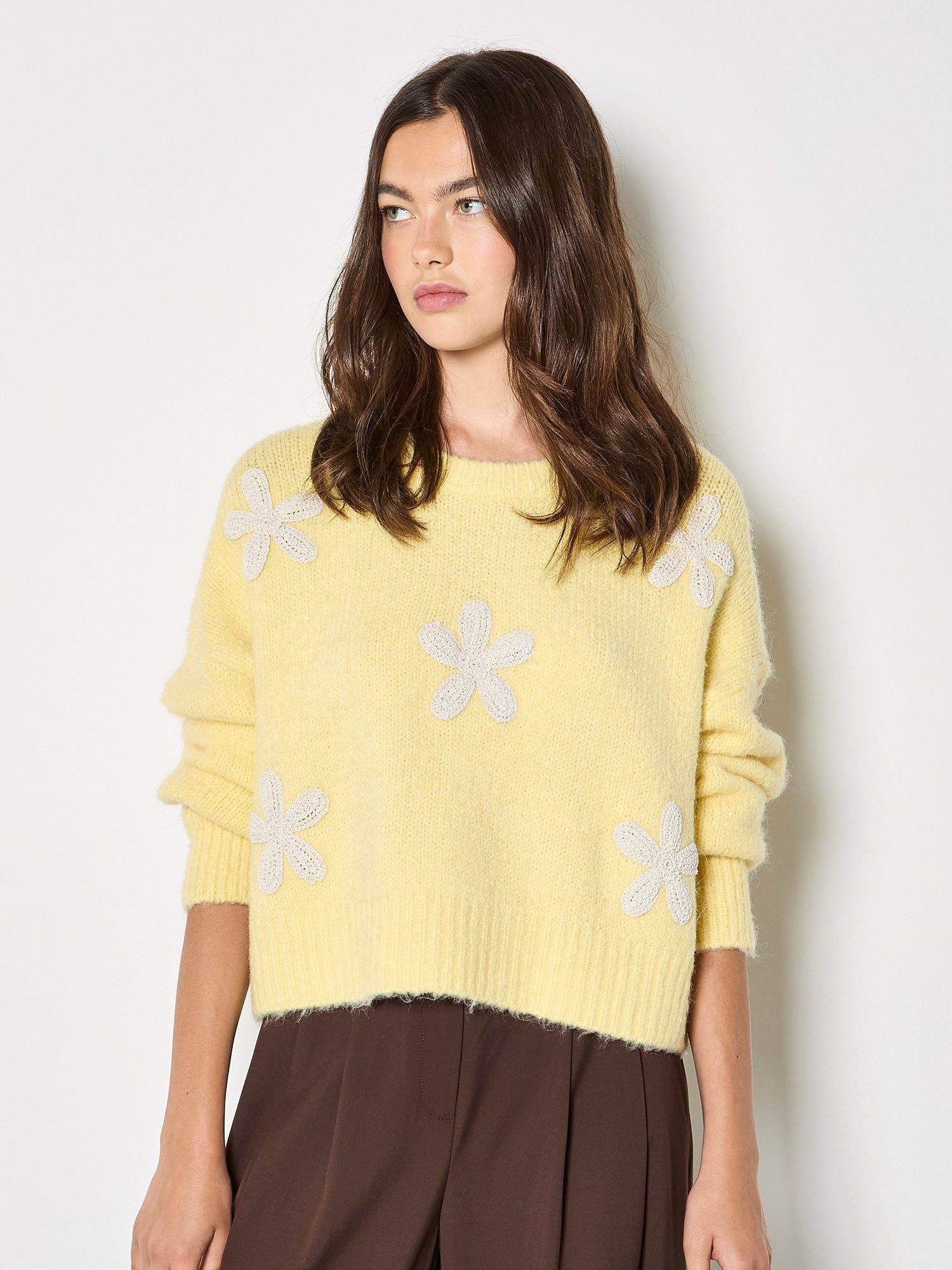 Strickpullover Strickpullover