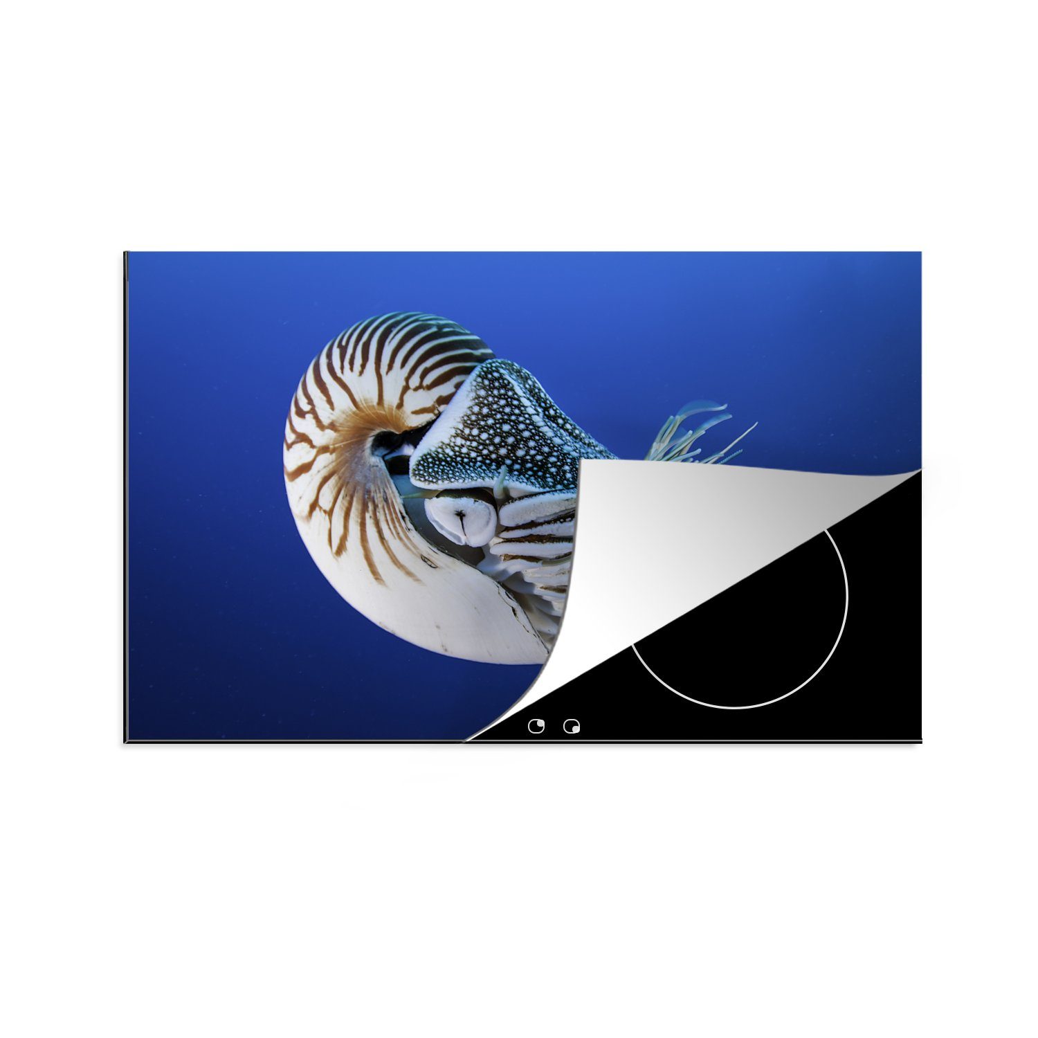 MuchoWow Herdblende-/Abdeckplatte Nautilus in den blauen Gewässern des Pazifischen Ozeans, Vinyl, (1 tlg), 81x52 cm, Induktionskochfeld Schutz für die küche, Ceranfeldabdeckung