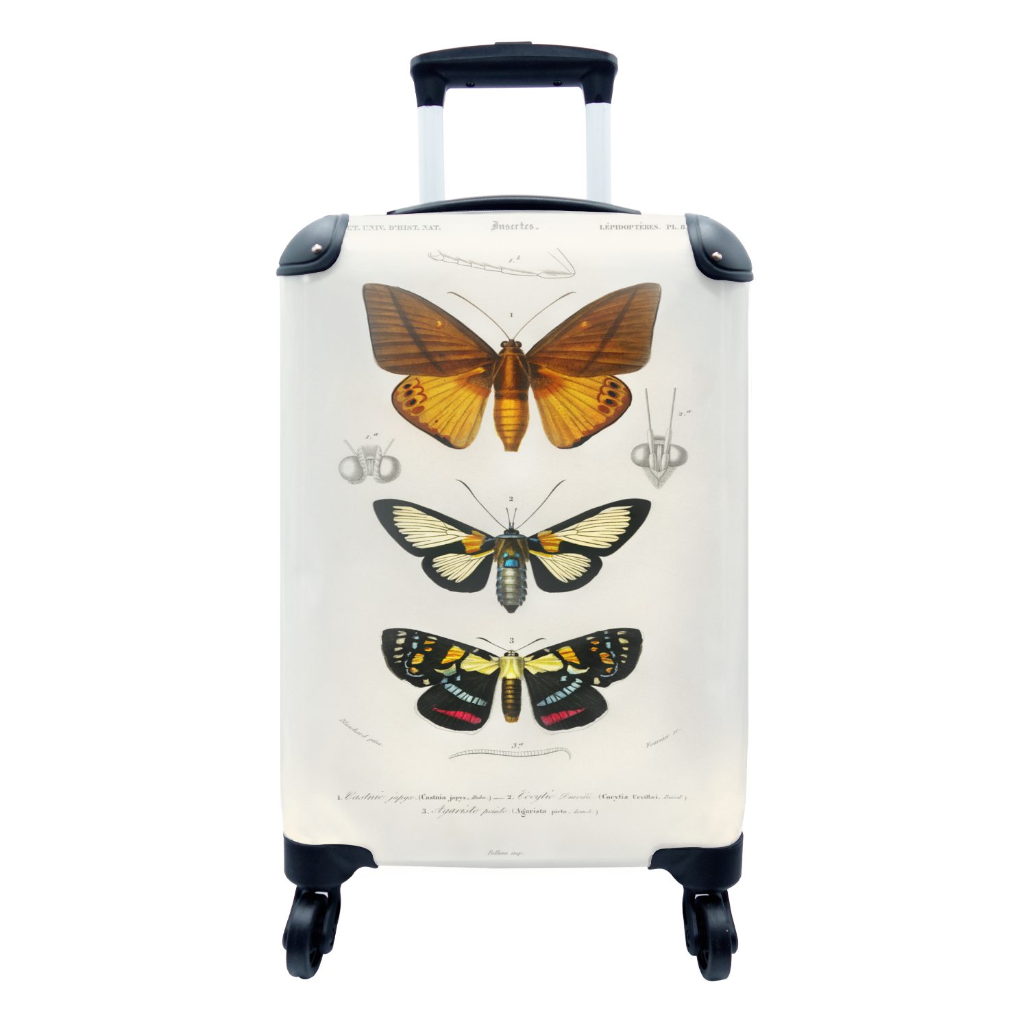 MuchoWow Reisetasche rollen, Trolley, - - Vintage mit Insekten, für Handgepäckkoffer Schmetterling 4 Ferien, Reisekoffer Handgepäck Rollen,