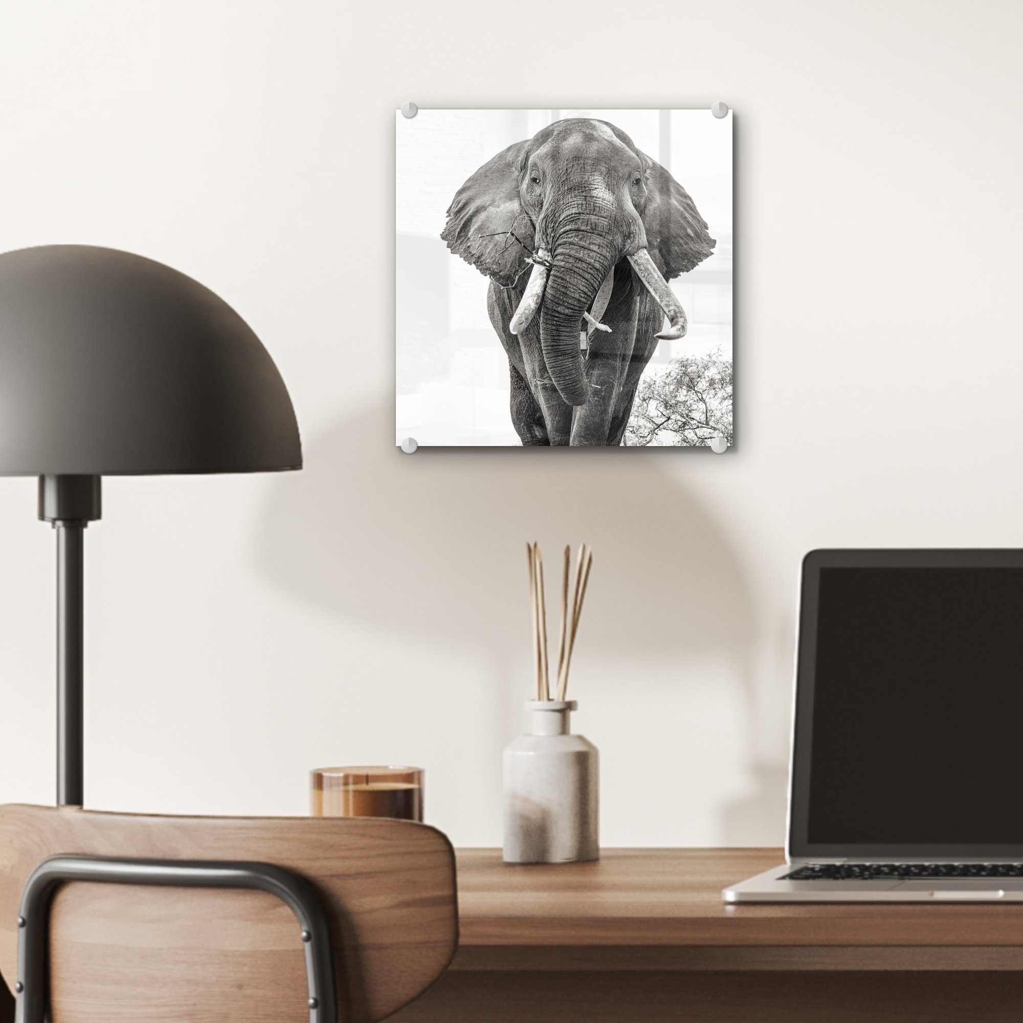 Glas St), (1 Acrylglasbild Wanddekoration MuchoWow Elefant und - Wandbild Bilder - Foto Porträt - - Schwarz Tiere auf - weiß, Glasbilder - auf Glas