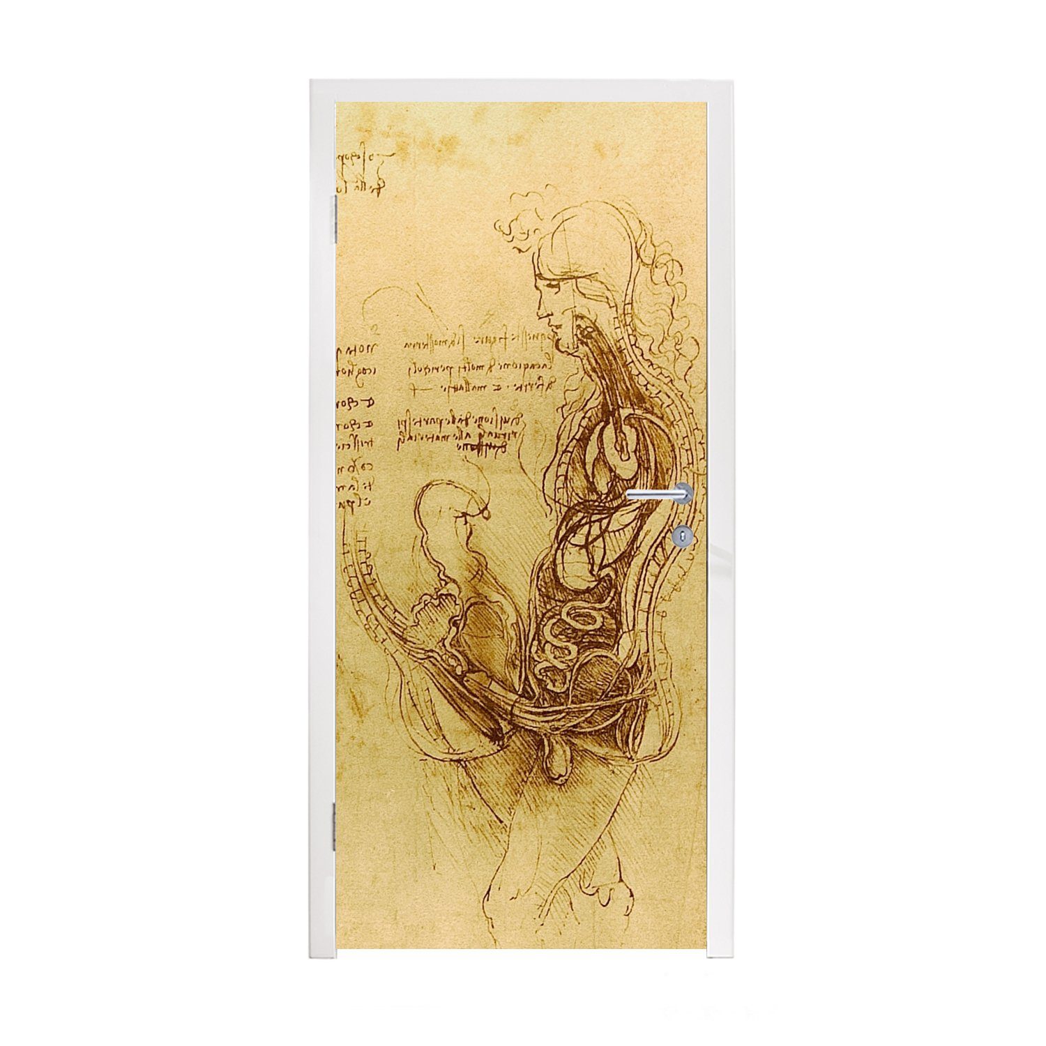 MuchoWow Türtapete Die menschliche Fortpflanzung - Leonardo da Vinci, Matt, bedruckt, (1 St), Fototapete für Tür, Türaufkleber, 75x205 cm