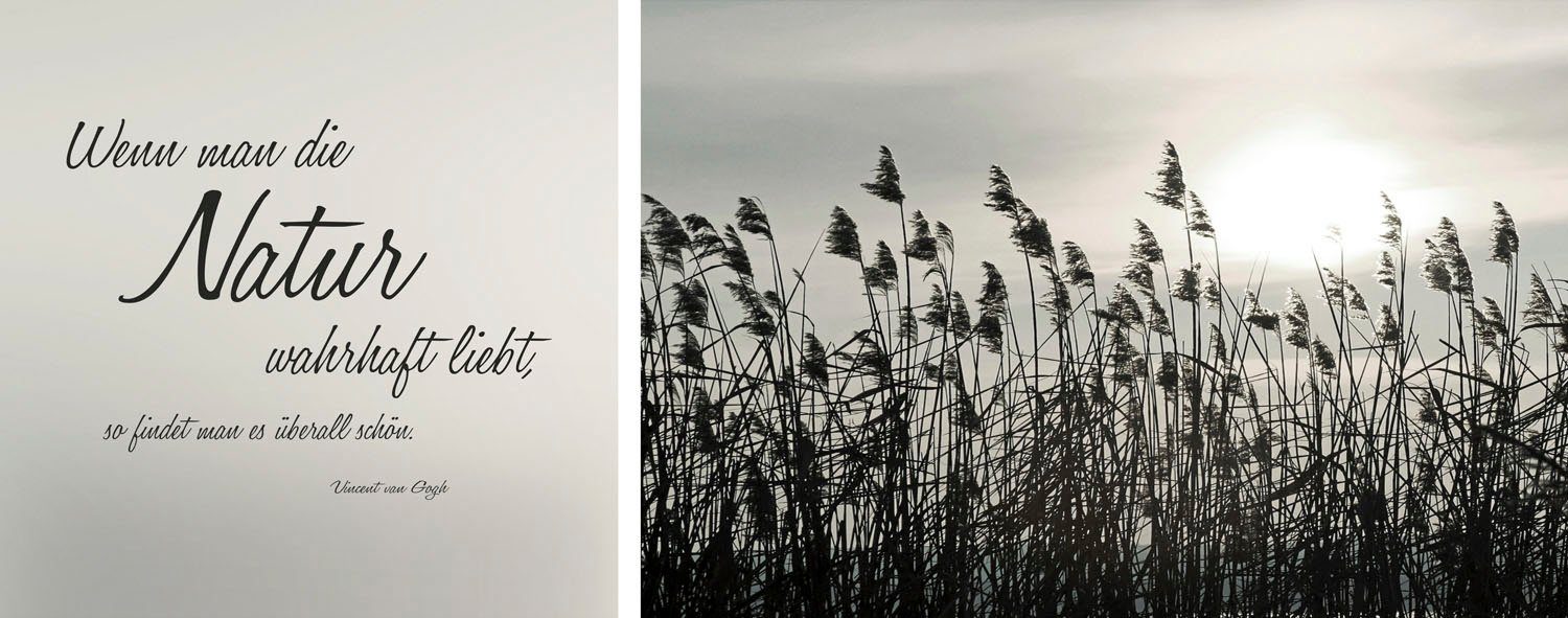 Leinwandbild Natur