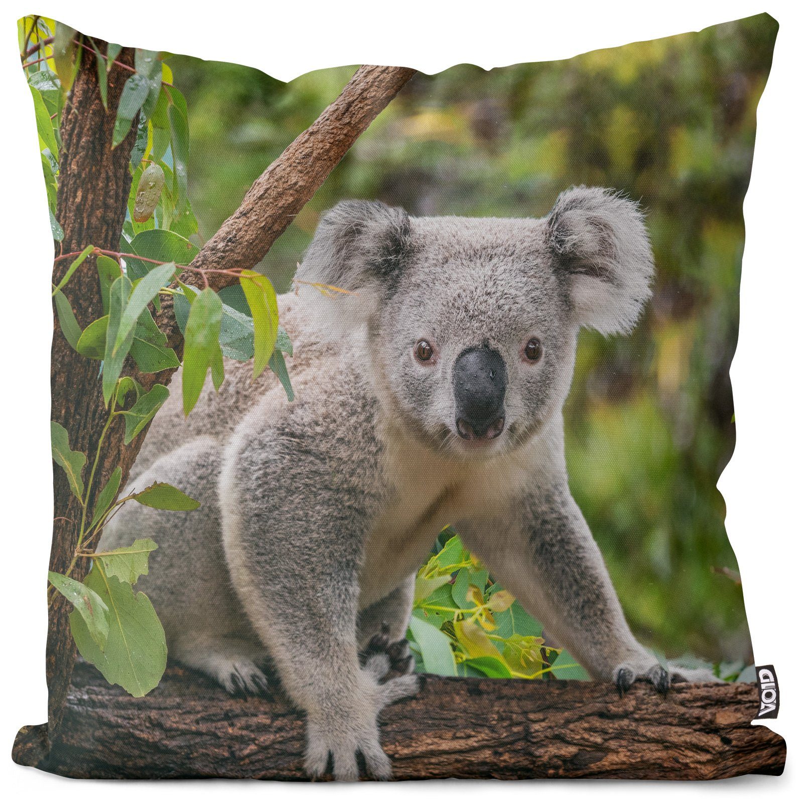 Kissenbezug, VOID (1 Stück), Sofa-Kissen Foto Tier Park Zoo Koalabär Bär Baum Eukalyptus Australien Urwald Dschungel Tierbaby Urlaub Reise Safari Wald