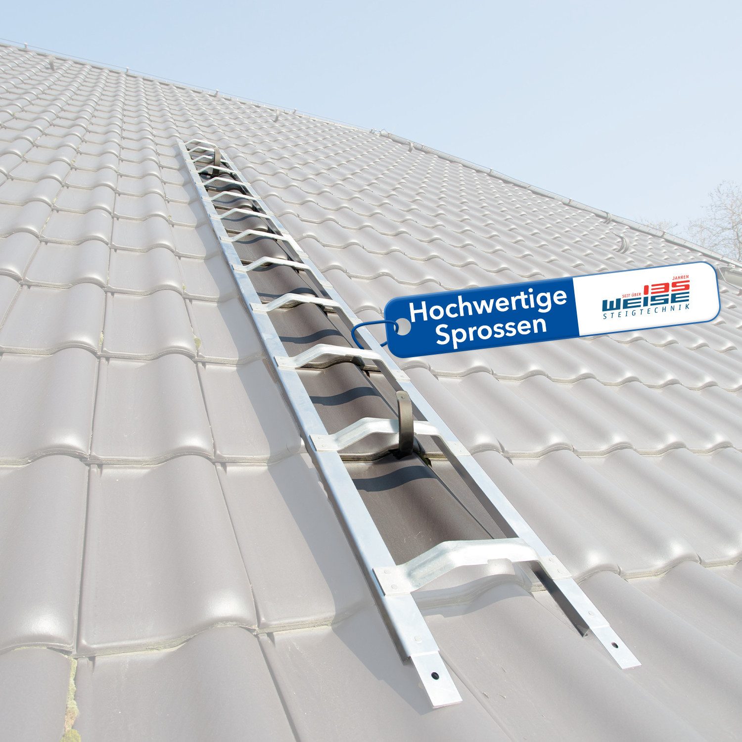 Vielzweckleiter Industrie-Qualität, Dachauflegeleiter