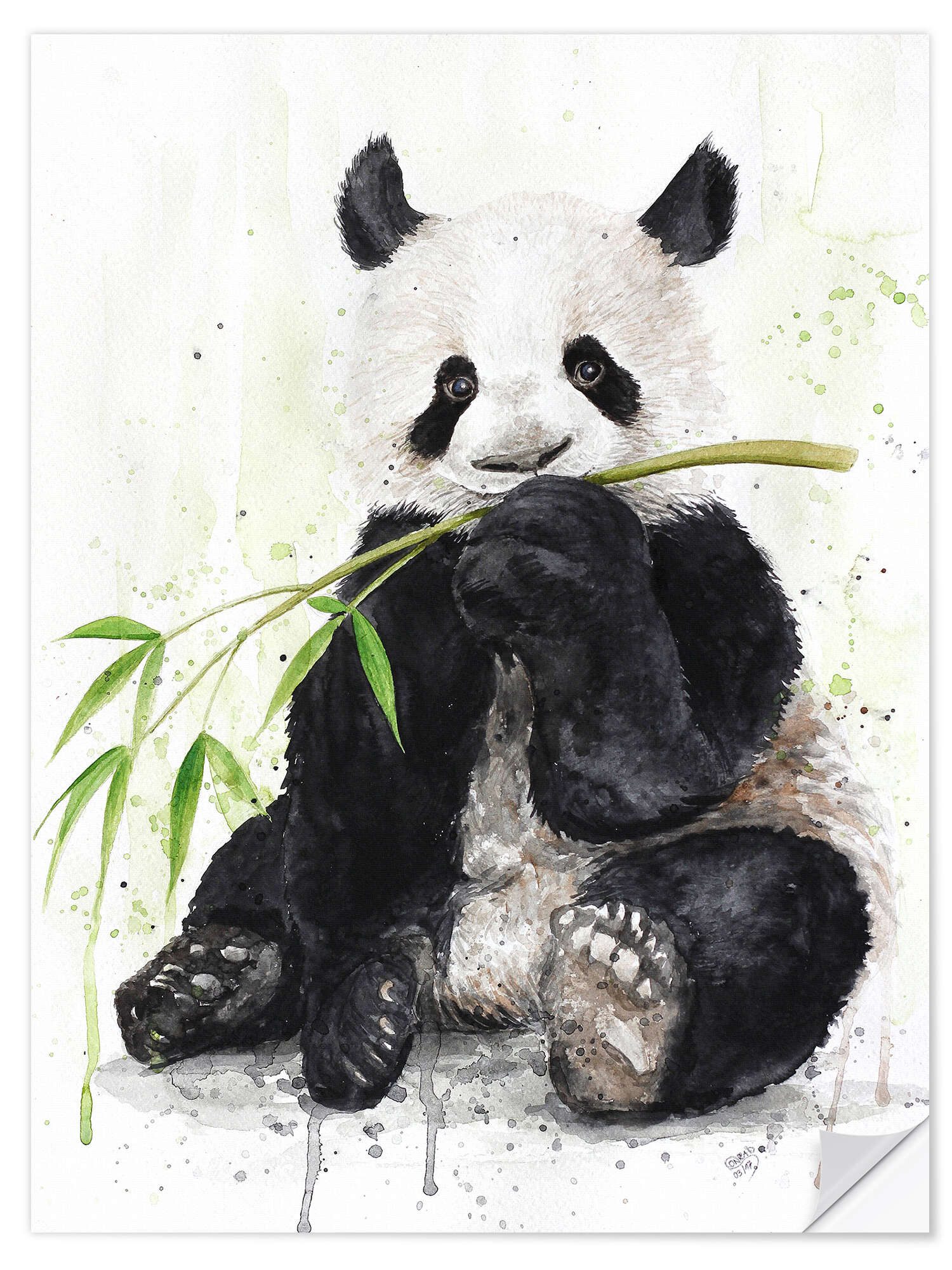 Posterlounge Wandfolie Nadine Conrad, Panda, Jungenzimmer günstig online kaufen