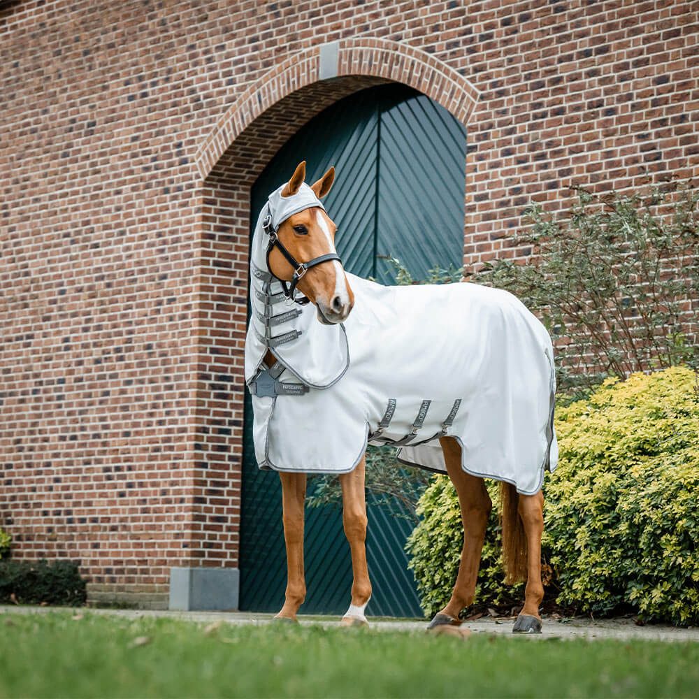 Horseware Ekzemerdecke Horseware Amigo Ripstop Hoody