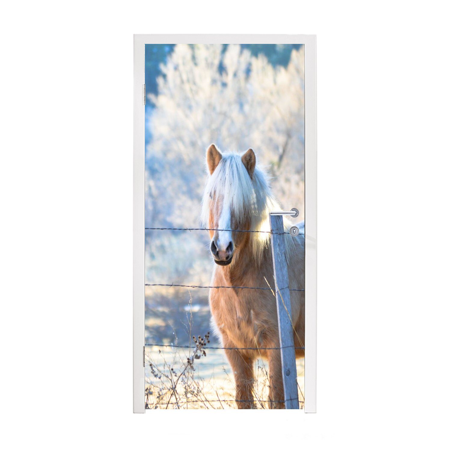 Türaufkleber, - Pferd Türtapete Tür, cm (1 für Winter - bedruckt, 75x205 Schnee, Fototapete MuchoWow Matt, St),