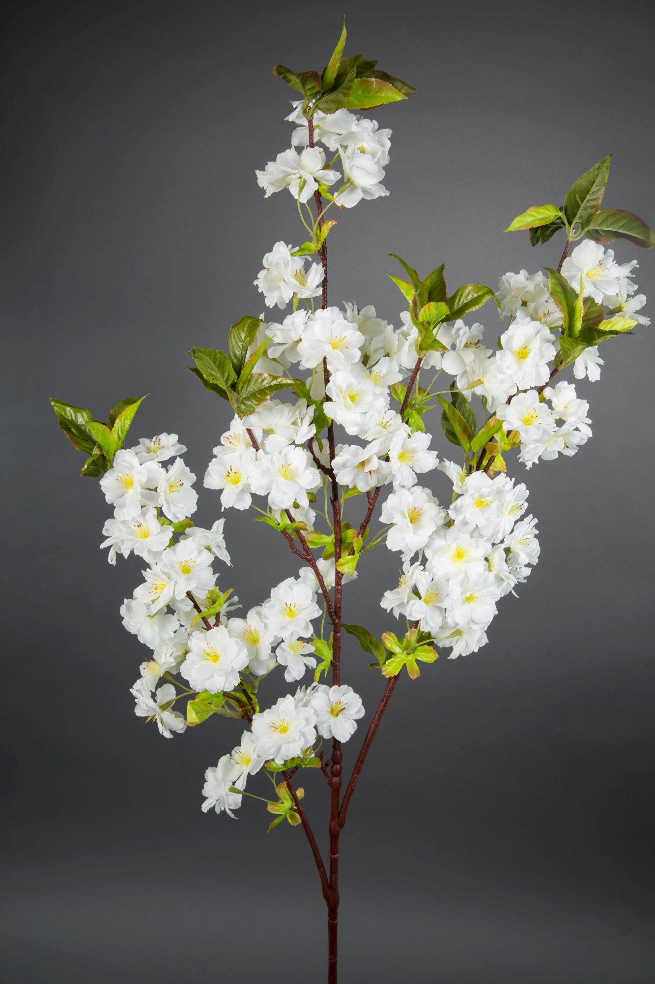 Kunstblume Kirschblütenzweig 105cm ZF künstliche Kirschblüte, Seidenblumen Roß, Höhe 105 cm, Weiß