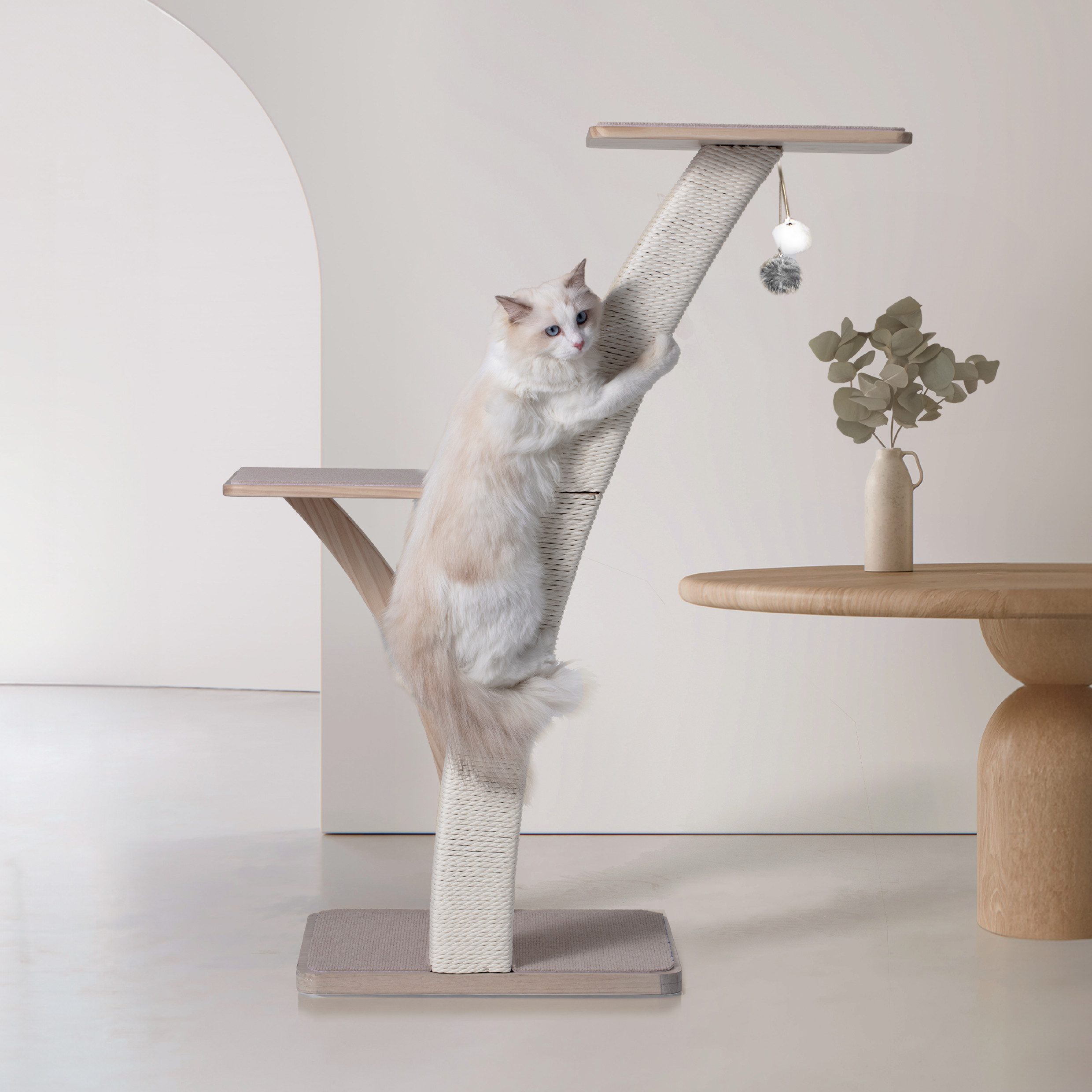 PetRhein Kratzbaum stilvoller Katzenbaum Coconut aus robustem Massivholz mit Plüschbällen, 2 Plattformen, Kletterbaum, Katzenmöbel mit Sisal, mit Spielzeug