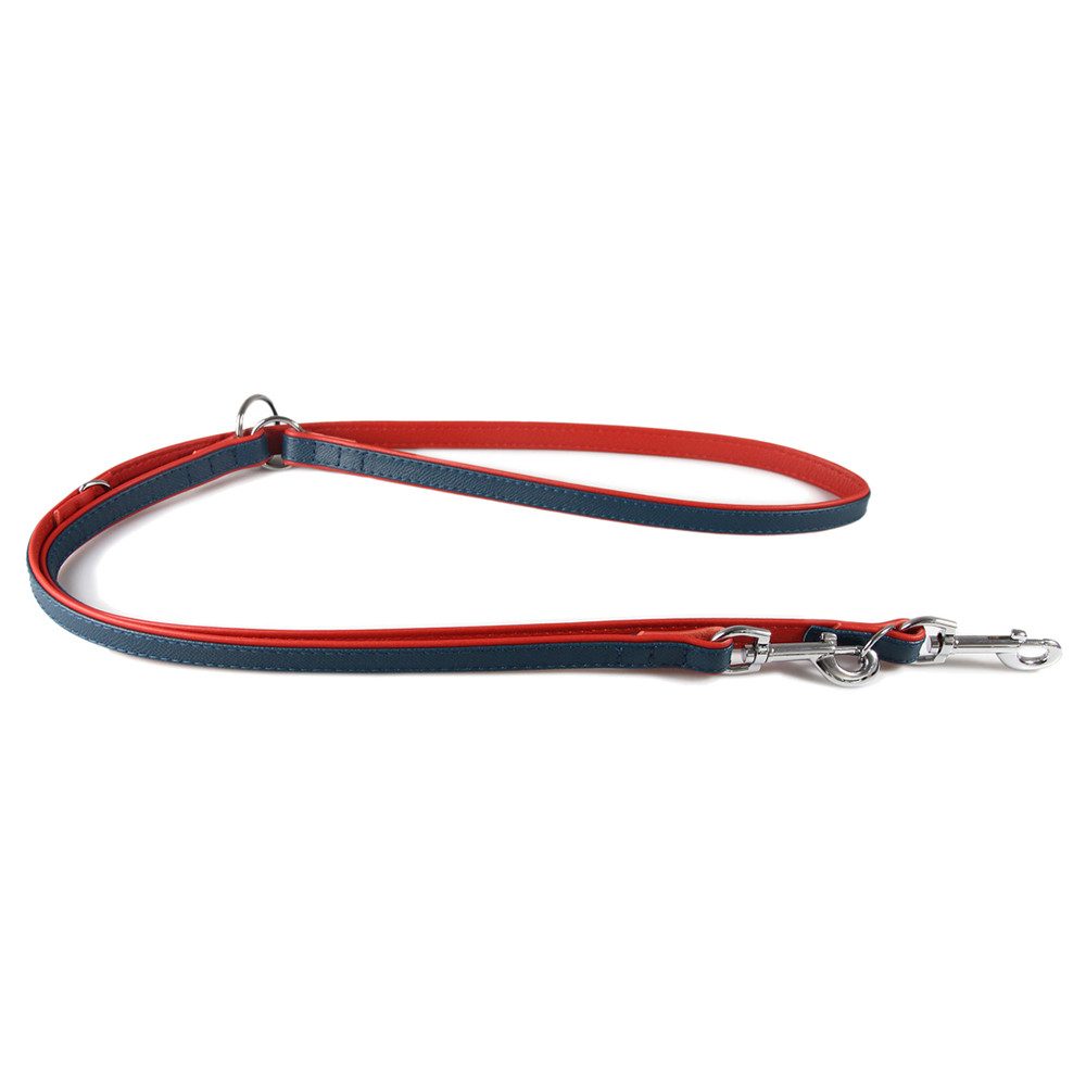 Das Lederband Hundeleine Hunde Führleine Firenze opal/flame