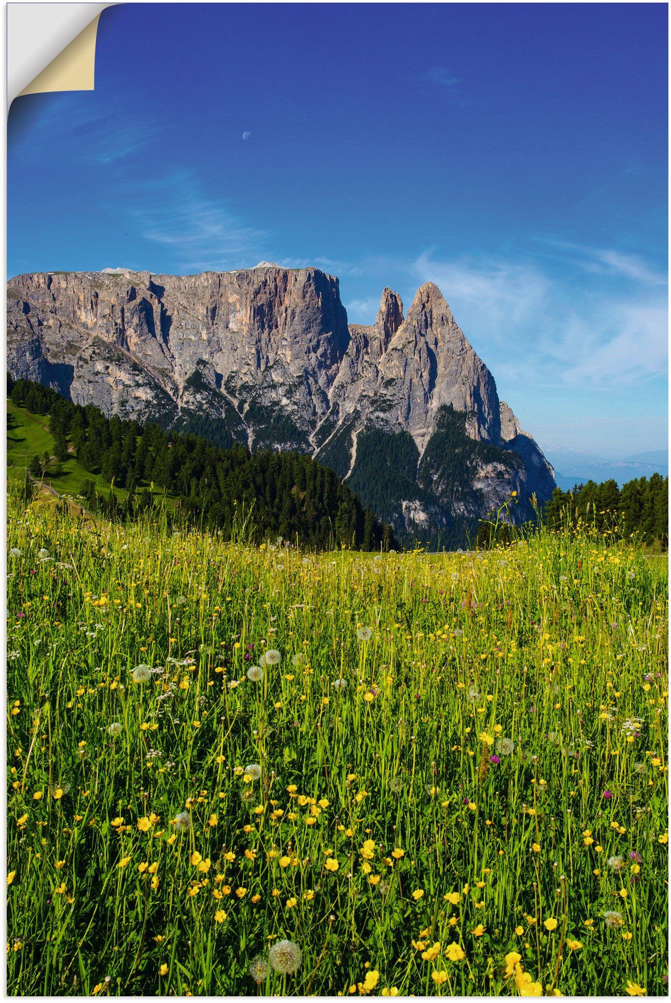 Südtirol, Seiser Wandbild (1 oder versch. Alpenbilder Wandaufkleber & der Artland als Leinwandbild, auf Blumenwiese Berge Poster St), Alubild, in Alm Größen