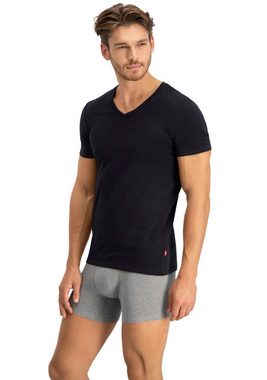Levi's® T-Shirt (Packung, 2-tlg) LEVIS MEN V-NECK 2P