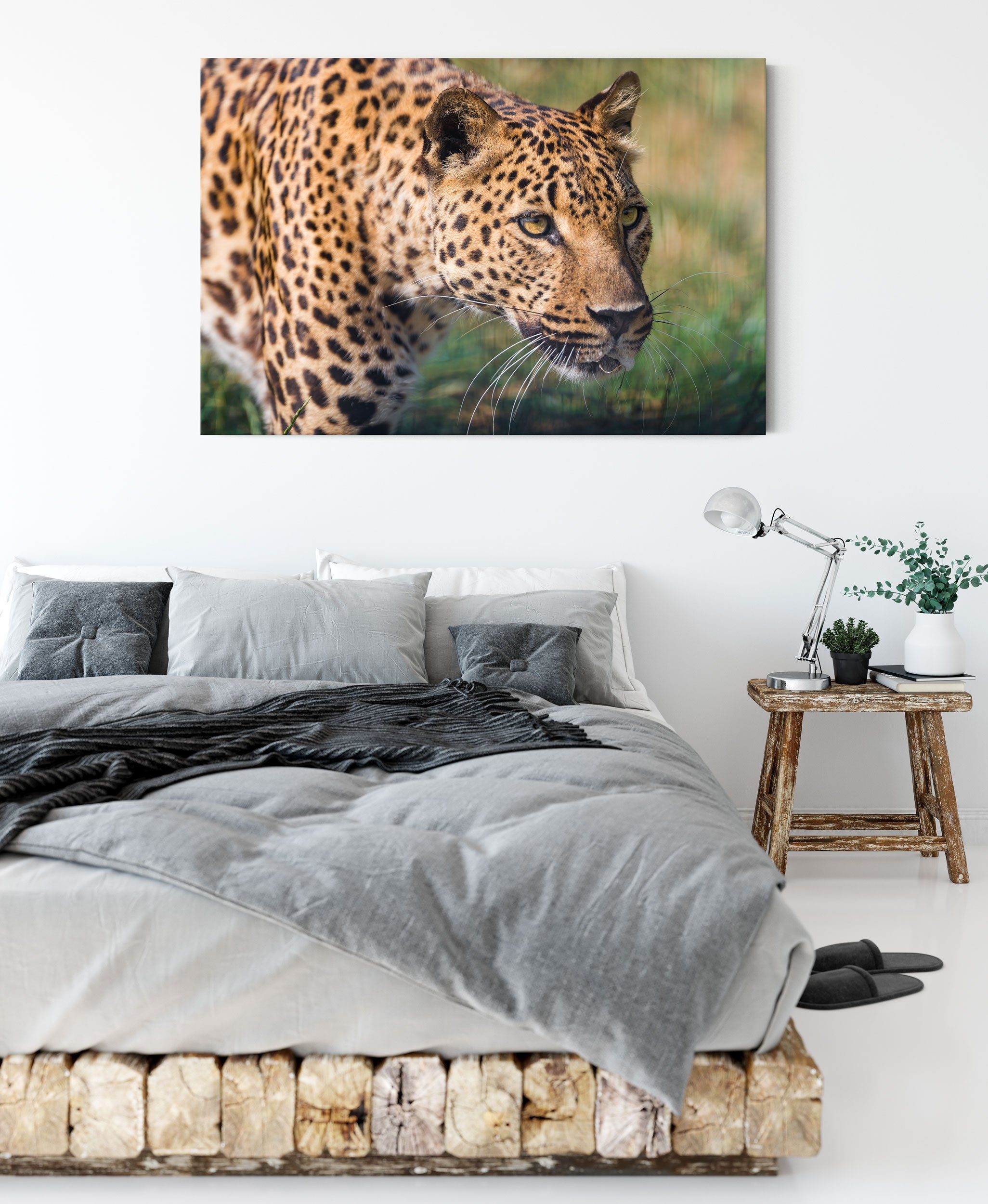 Zackenaufhänger Pixxprint inkl. Leinwandbild fertig schleichender bespannt, (1 Leopard, Leinwandbild St), schleichender Leopard