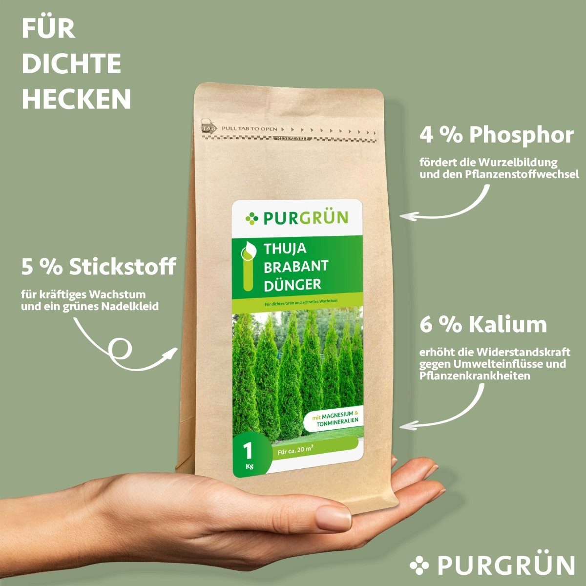 Purgrün Gartendünger Purgrün Thuja Brabant Dünger, günstig online kaufen