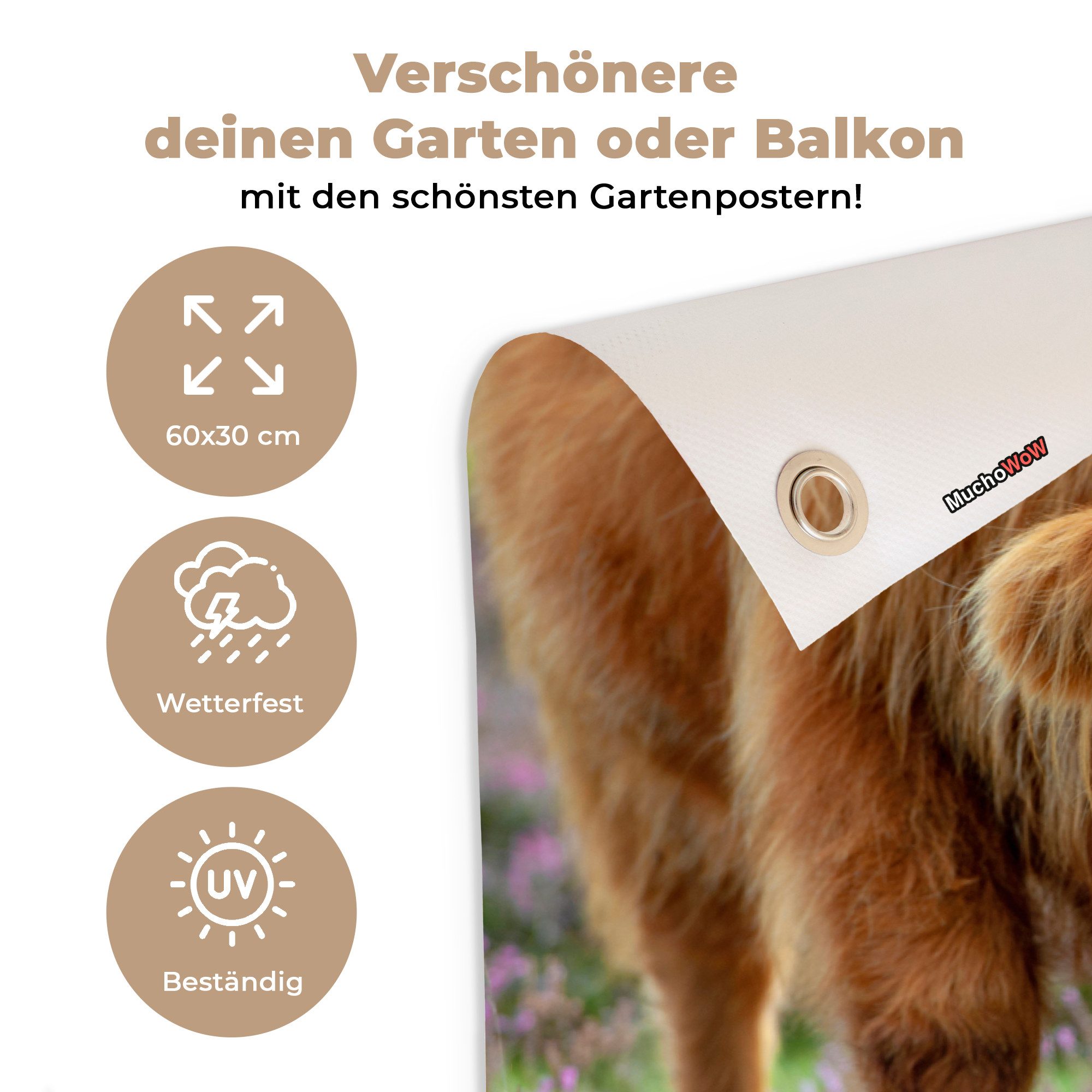 OnlyWow Poster für Garten Schottischer Highlander - Lila - Blumen, Gartenposter, Outdoor Bilder, Wetterfest, Garten Deko, 60x30 cm