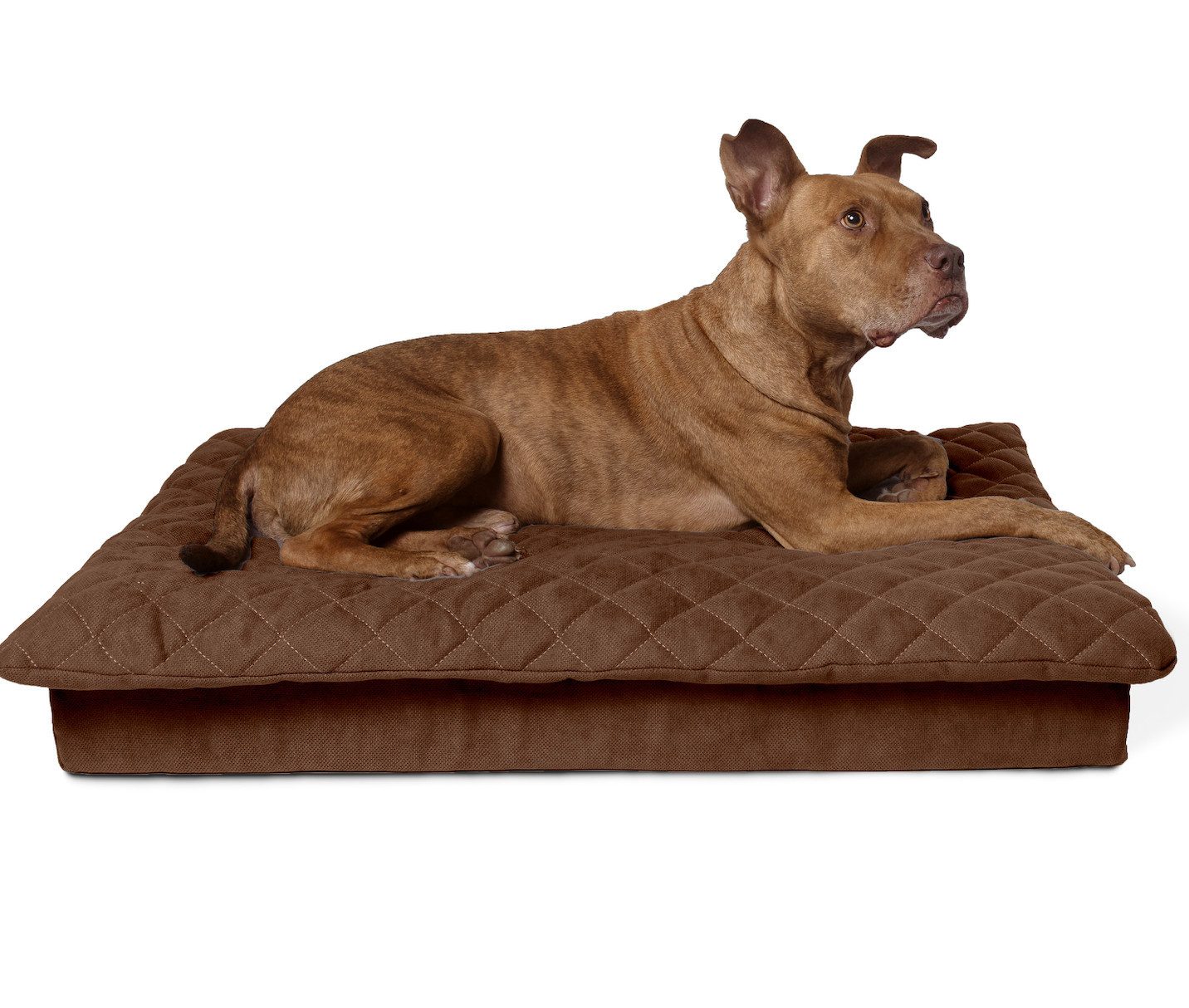 lous Hundematratze 2 in 1 Hundebett orthopädisch - mit abnehmbarem Topper, günstig online kaufen