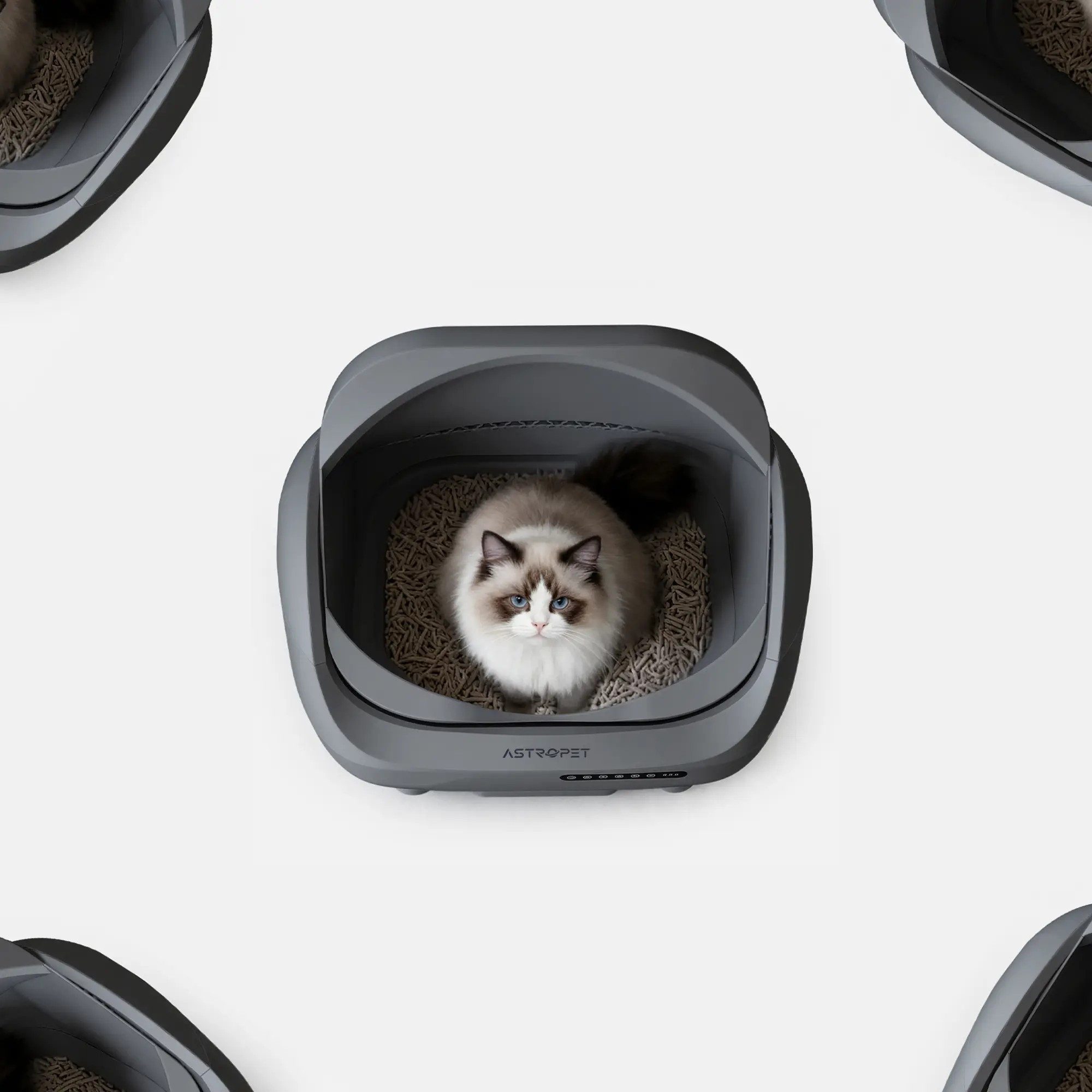 AstroPet Katzentoilette XXXL offenes selbstreinigendes Katzenklo – für mehrere Katzen
