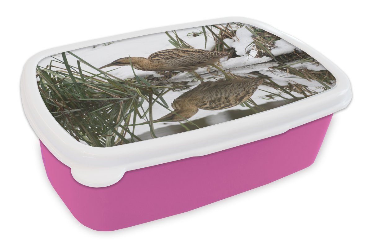 MuchoWow Lunchbox Rohrdommel auf der Jagd im Wasser, Kunststoff, (2-tlg), Brotbox für Erwachsene, Brotdose Kinder, Snackbox, Mädchen, Kunststoff rosa