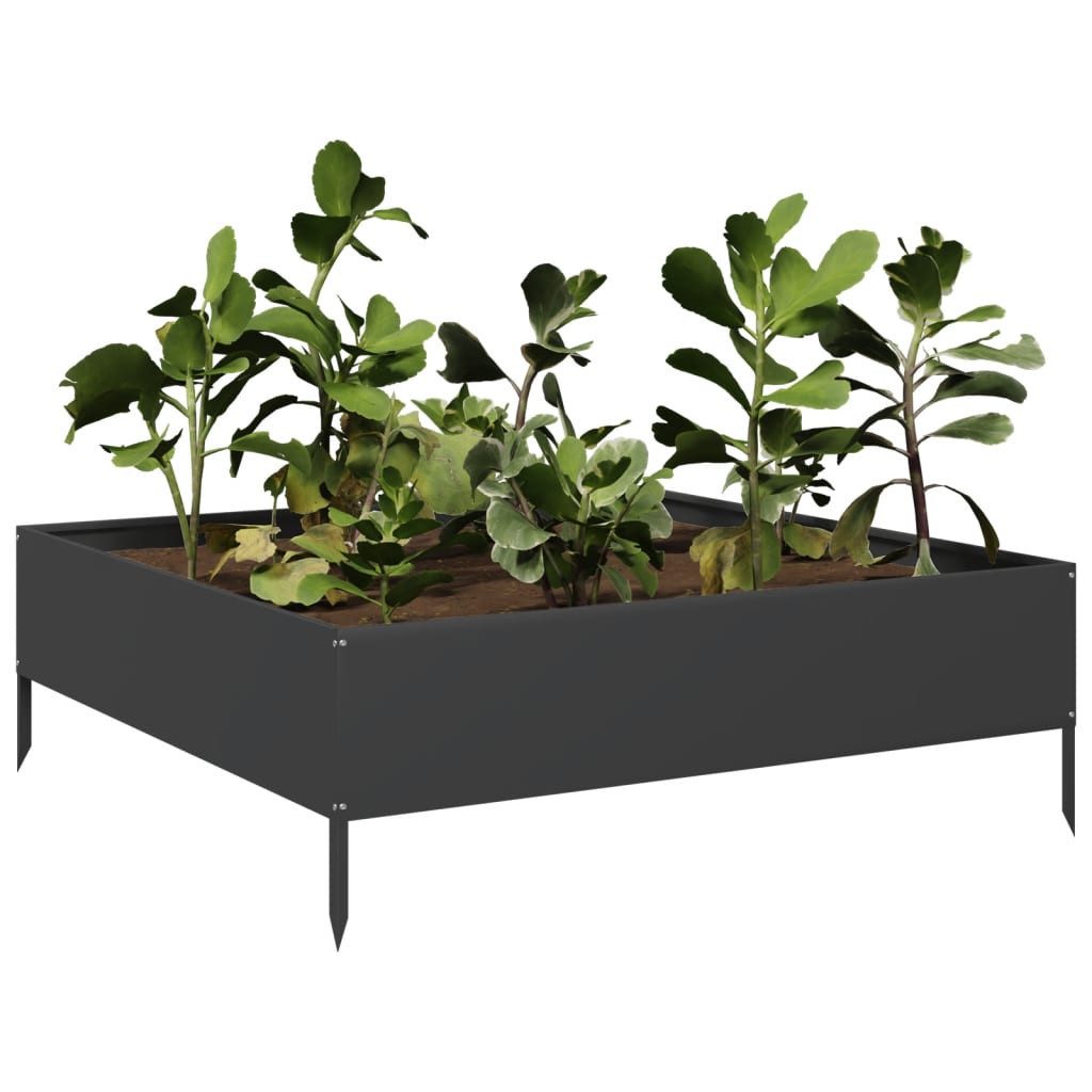 vidaXL Hochbeet Hochbeet Schwarz 100x100x33,5 cm Stahl (1 St)