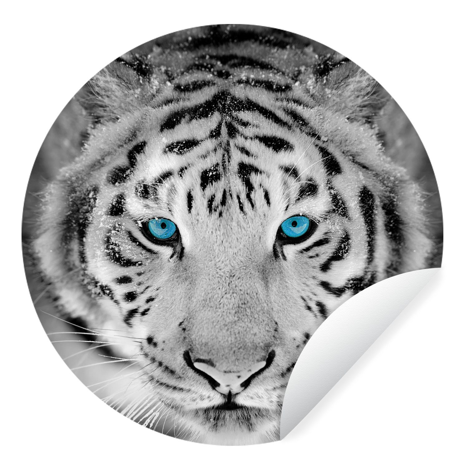MuchoWow Wandsticker Tiger - Weiß - Augen (1 St), Tapetenkreis für Kinderzimmer, Tapetenaufkleber, Rund, Wohnzimmer
