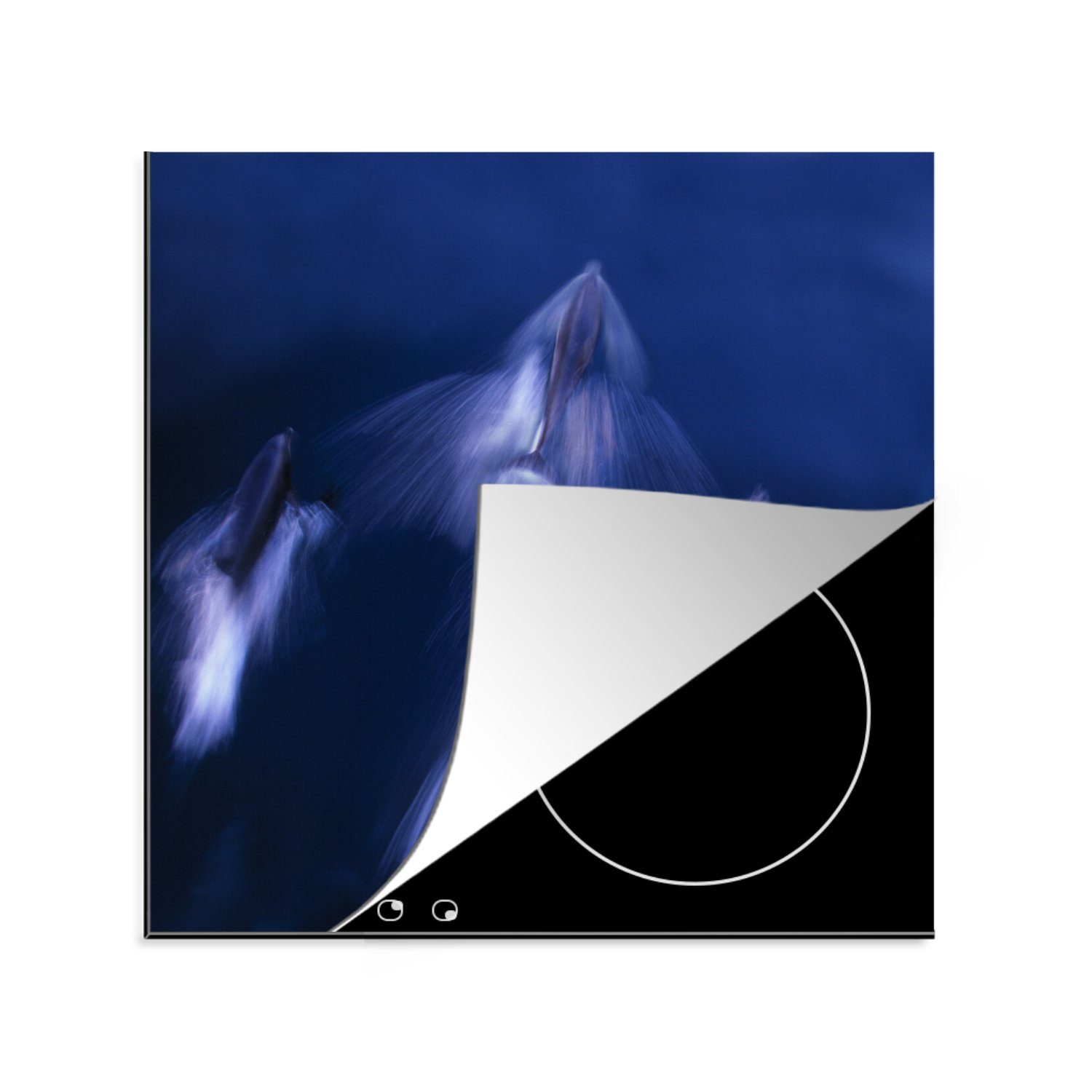MuchoWow Herdblende-/Abdeckplatte Ozean - Delfin - Wasser, Vinyl, (1 tlg), 78x78 cm, Ceranfeldabdeckung, Arbeitsplatte für küche | Herdabdeckplatten