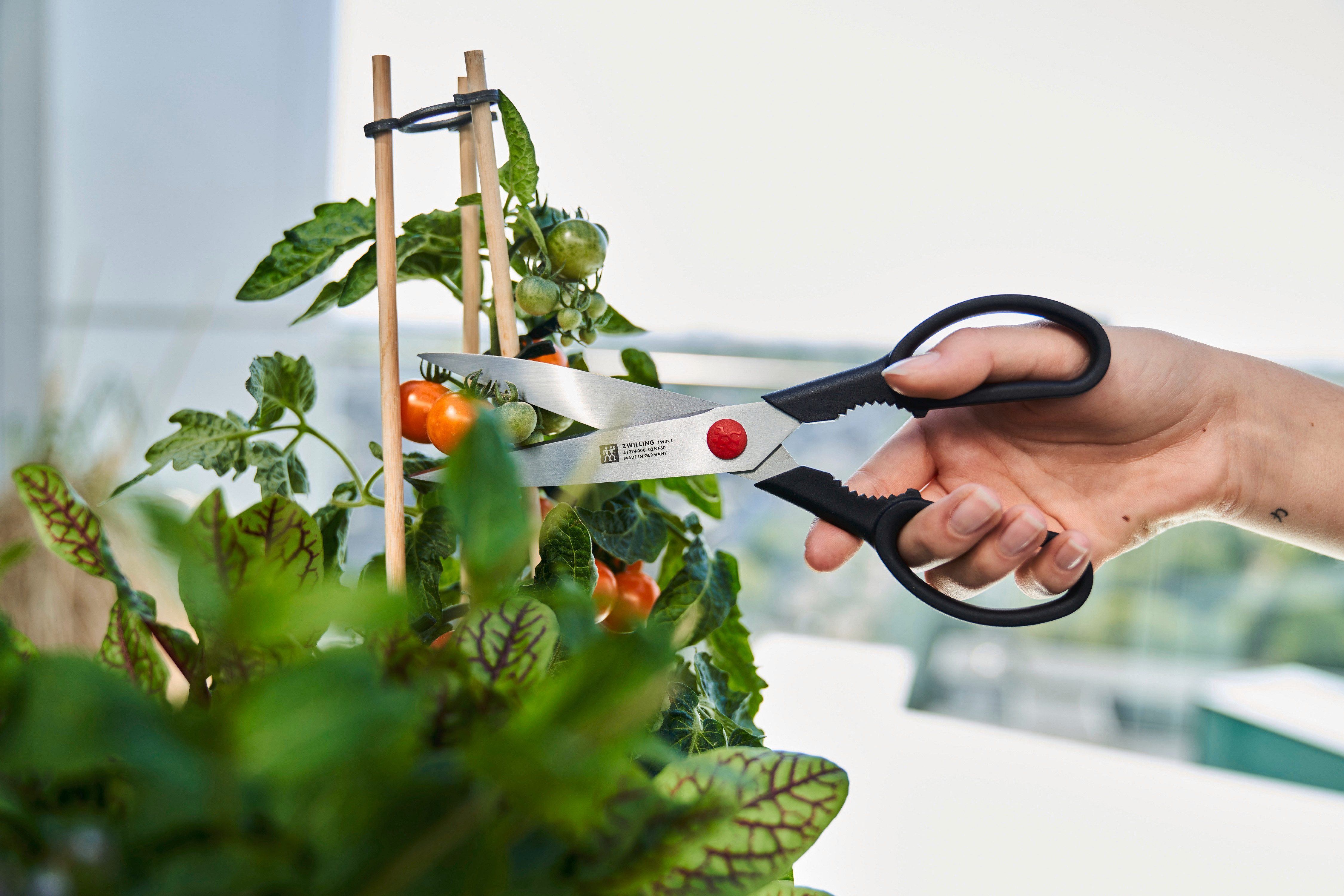 Zwilling Haushaltsschere TWIN L, (1-tlg), Rostfreier Spezialstahl, Ergonomisch, 23 cm, schwarz