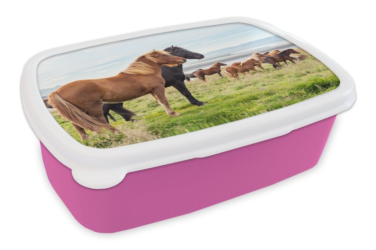 MuchoWow Lunchbox Herde von Isländerpferden im grünen Gras, Kunststoff, (2-tlg), Brotbox für Erwachsene, Brotdose Kinder, Snackbox, Mädchen, Kunststoff rosa | Lunchboxen