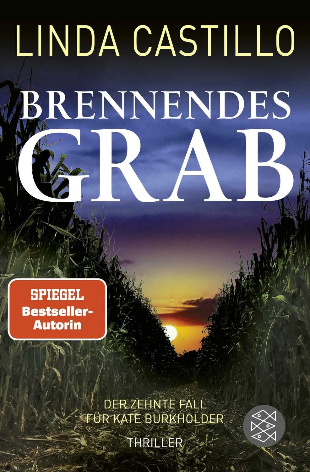 Brennendes Grab / Linda Castillo, Thriller, Spannender Thriller bei den Amischen