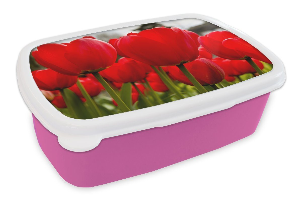 MuchoWow Lunchbox Nahaufnahme von roten Tulpen, Kunststoff, (2-tlg), Brotbox für Erwachsene, Brotdose Kinder, Snackbox, Mädchen, Kunststoff rosa