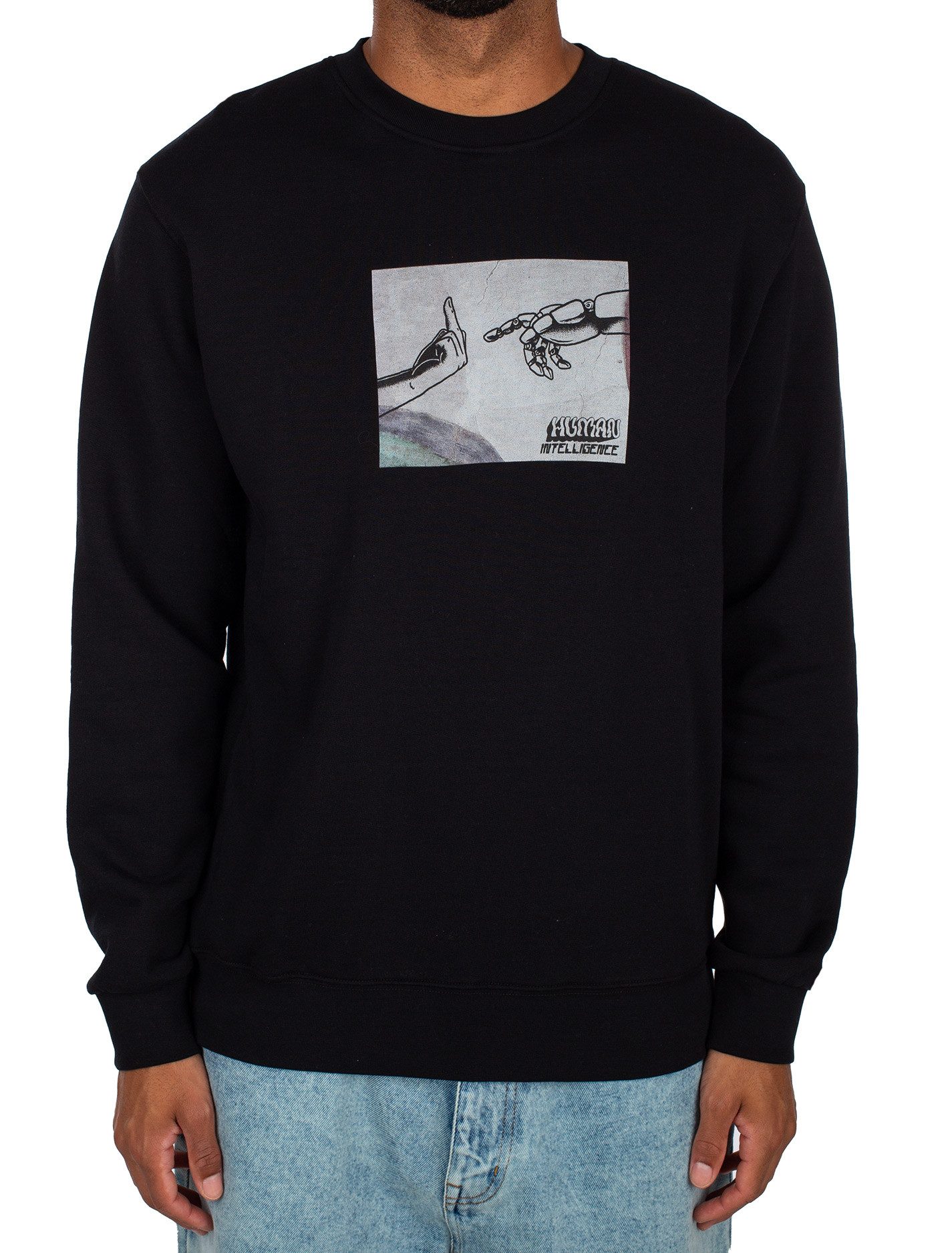 iriedaily Sweater Sweatpulli Iriedaily H.I. Crewneck