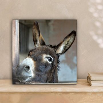 OneMillionCanvasses® Leinwandbild Esel, (1 St), Leinwand Bilder für Wohnzimmer Schlafzimmer, 20x20 cm