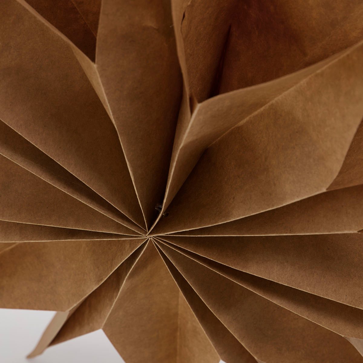 House Doctor Dekoobjekt Stern CAPELLA Natur