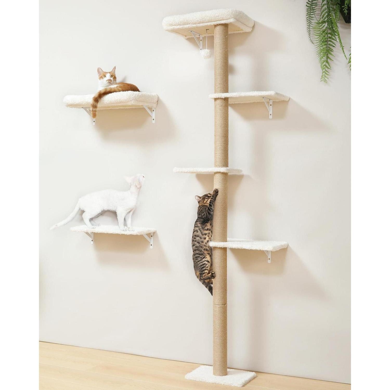 LuxusKollektion Katzen-Kletterwand Katzen Kletterwand 3-in-1 Set