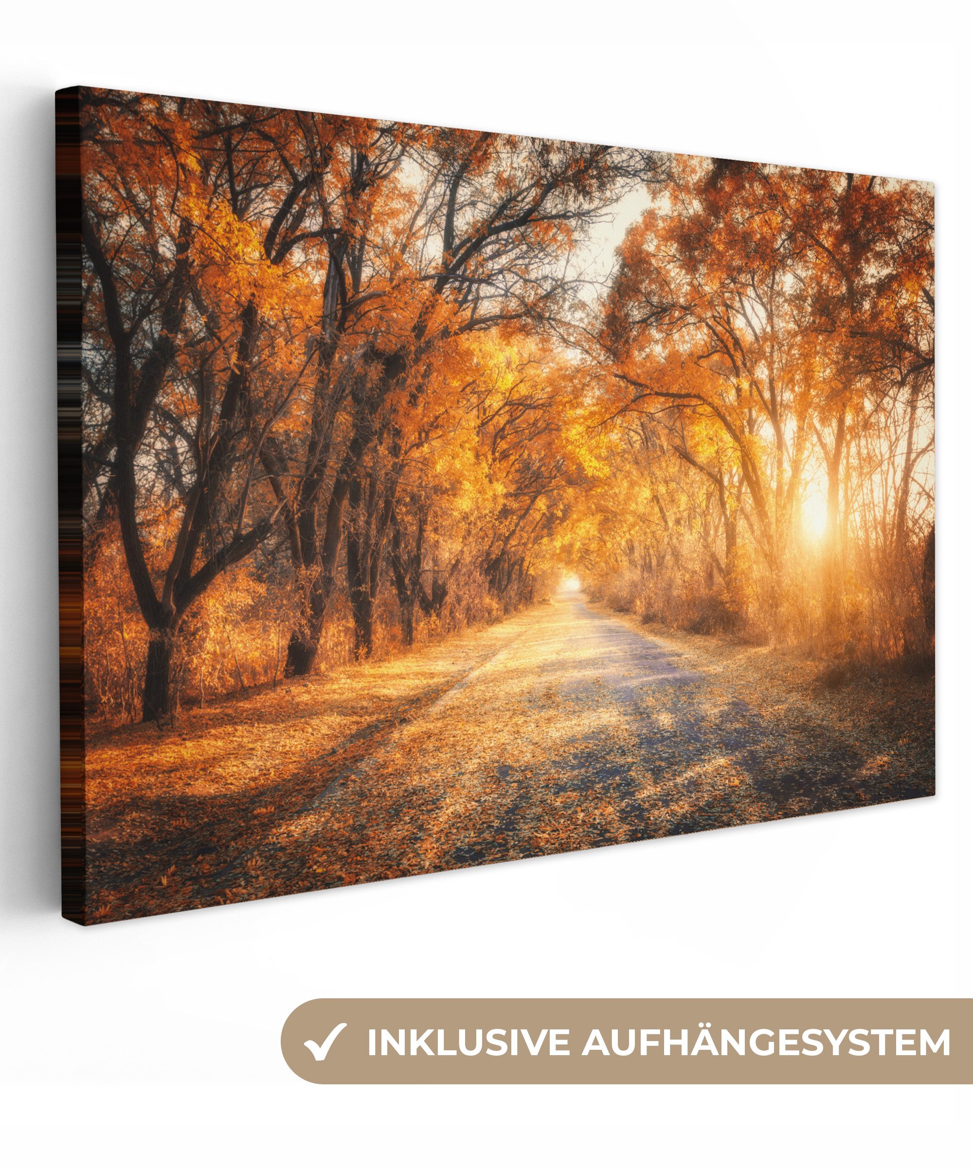 OneMillionCanvasses® Leinwandbild Wald - Herbst - Bäume - Weg - Natur, Foto günstig online kaufen