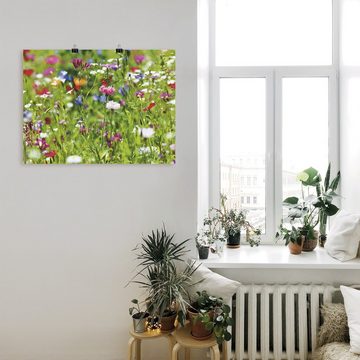 Artland Wandbild Blumenwiese I, Blumenwiese (1 St), als Leinwandbild, Poster in verschied. Größen