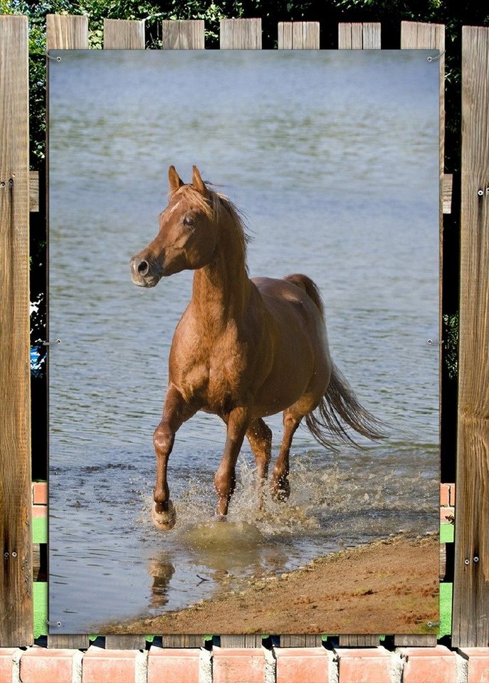 Thumbnail - Wallario Sichtschutzzaunmatten Braunes Pferd am Meer Araber am Wasser