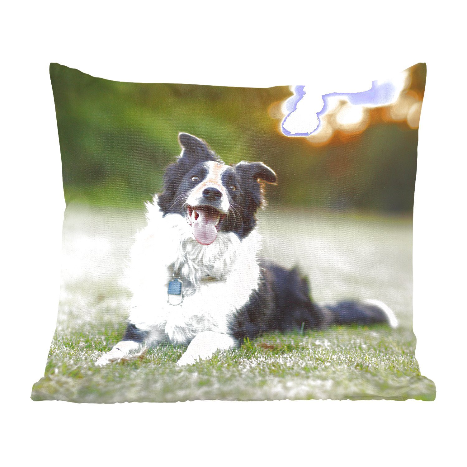 MuchoWow Dekokissen Ein glücklicher Border Collie, dem die Zunge aus dem Maul hängt, Zierkissen mit Füllung für Wohzimmer, Schlafzimmer, Deko, Sofakissen