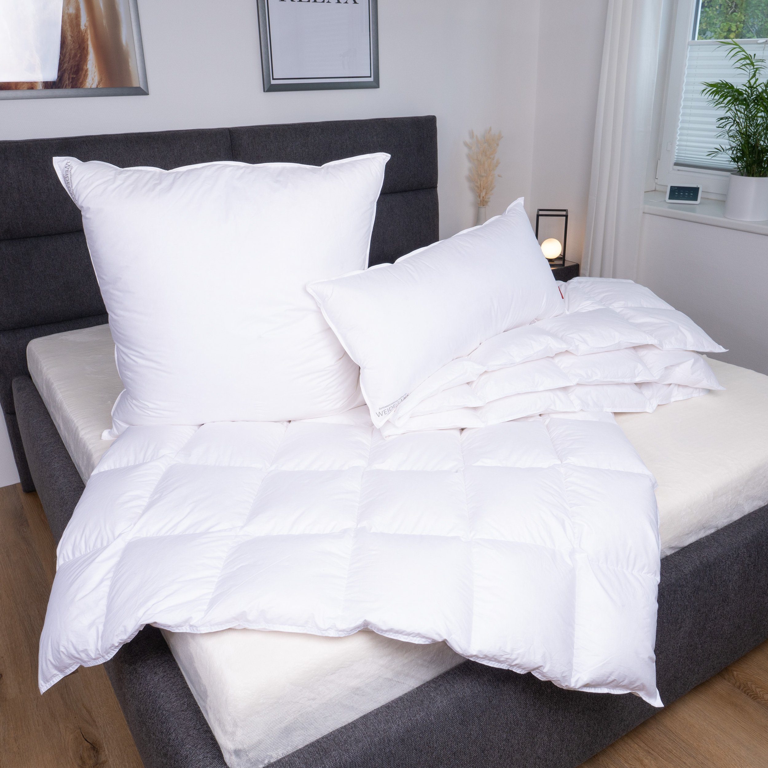 Sanders Kauffmann Gänsedaunenbettdecke Weidegans, Füllung: 100% Gänsedaunen günstig online kaufen