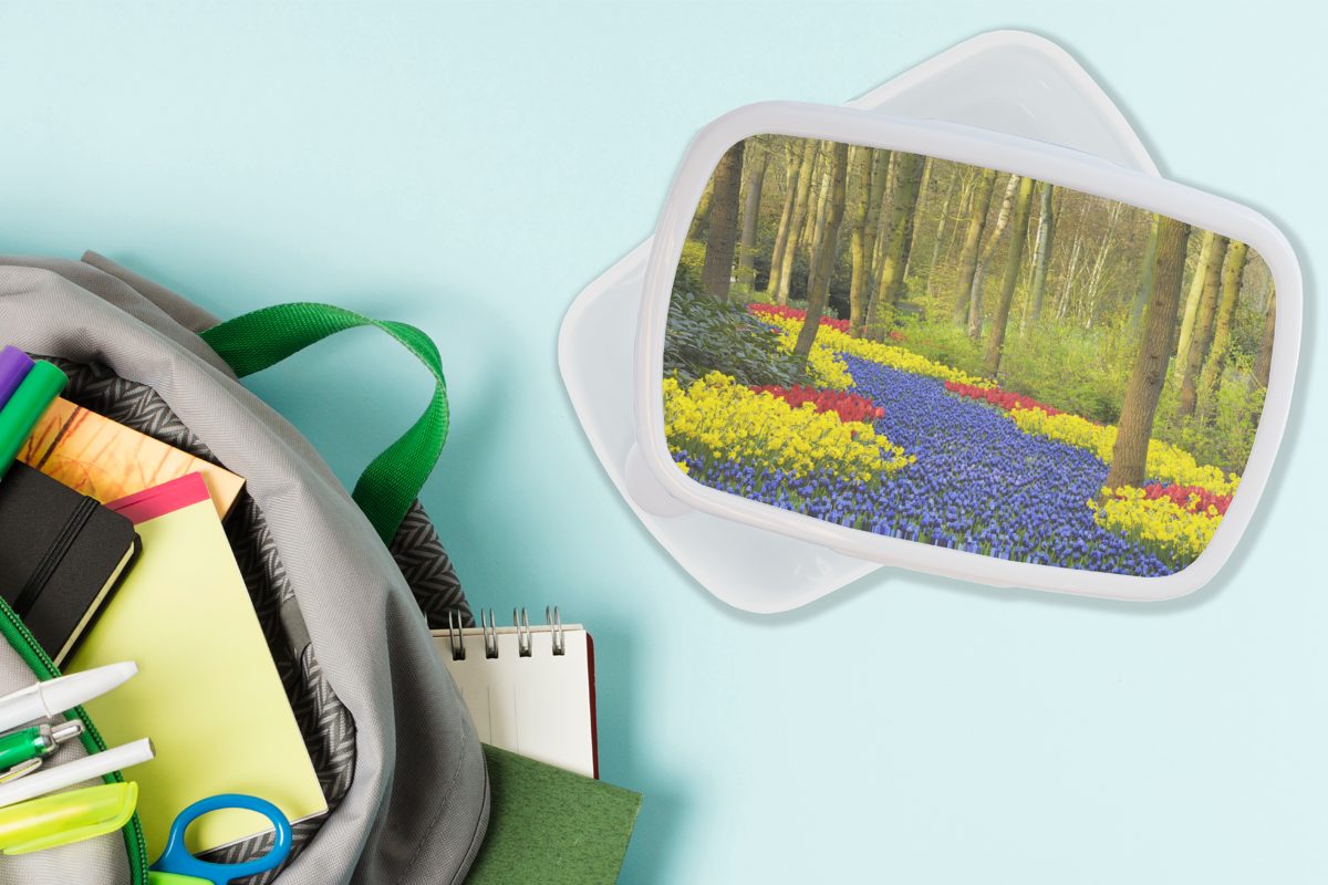 (2-tlg), Mädchen Erwachsene, Tulpenzwiebelspaziergang und dem Keukenhof, für und für MuchoWow Lunchbox auf weiß Kinder Brotbox Brotdose, Jungs Kunststoff,