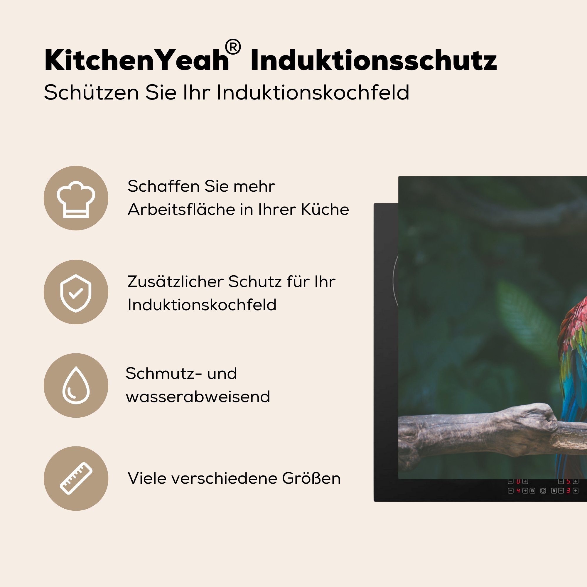 cm, Induktionskochfeld für Vinyl, MuchoWow Ceranfeldabdeckung küche, - (1 Ara, tlg), - Vogel Herdblende-/Abdeckplatte Schutz Papagei 81x52 die