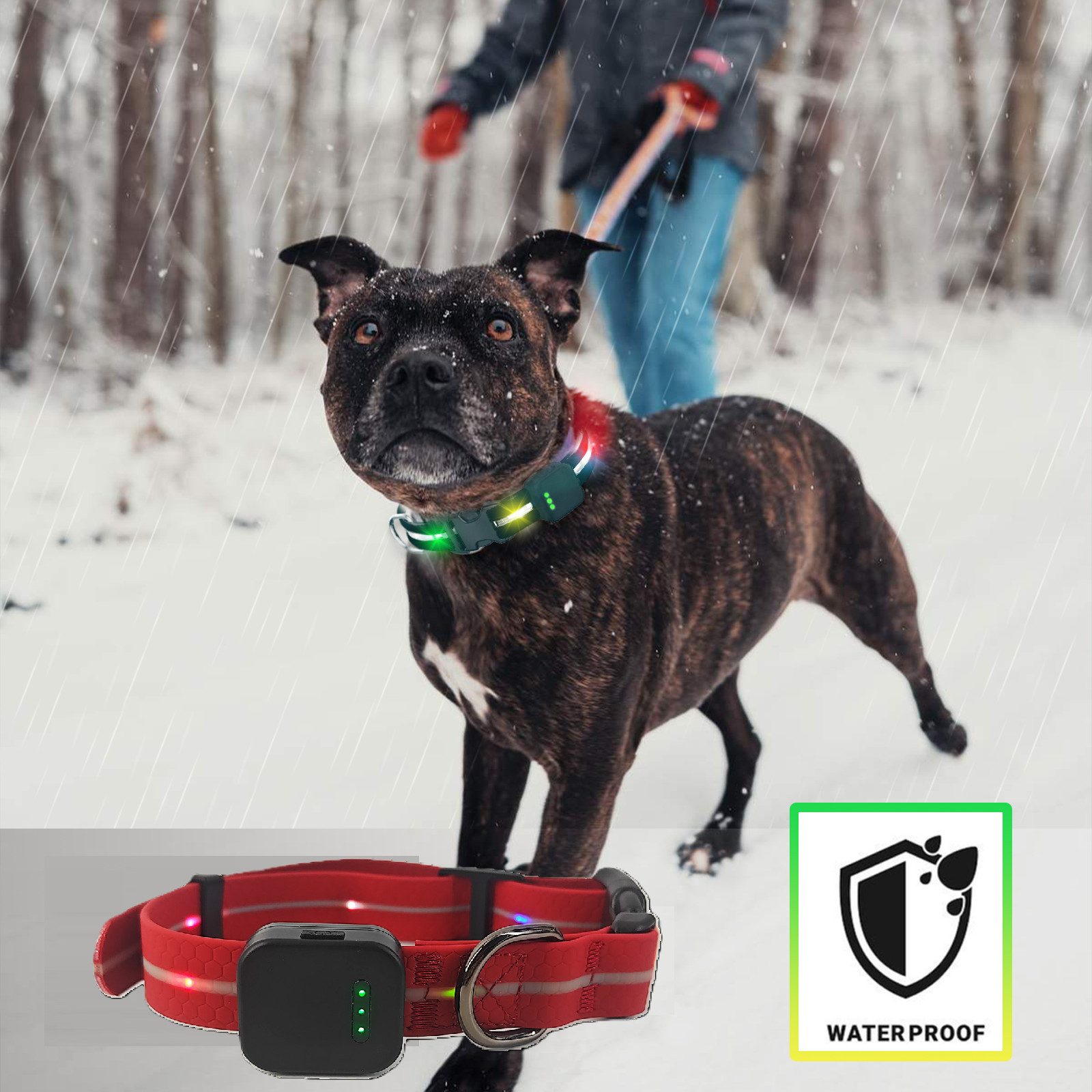 Illes-Laedchen Hunde-Halsband exklusives LED Hundehalsband wasserdicht AKKU günstig online kaufen